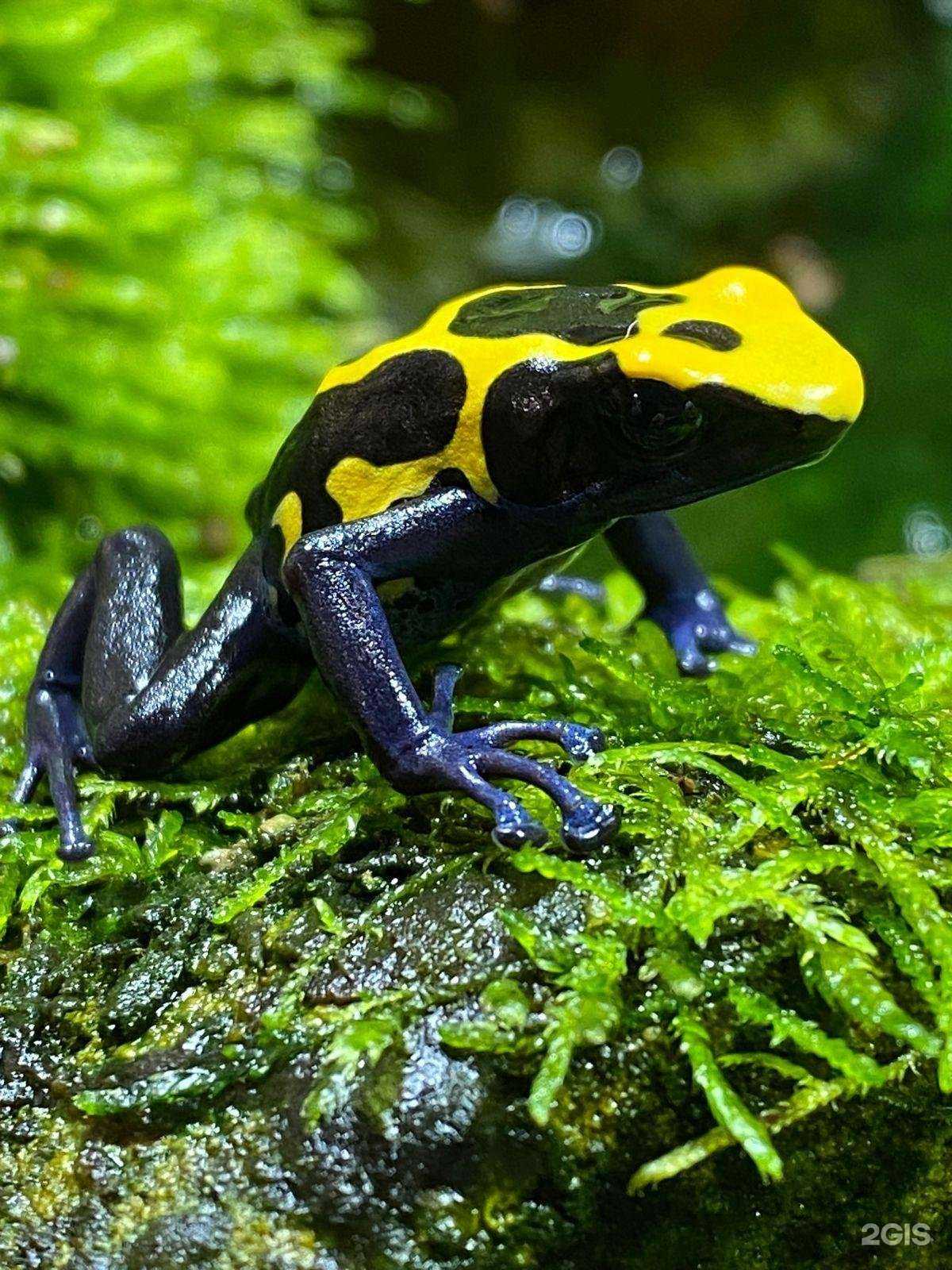 Отзывы на компанию Экзотариум в Пятигорске c фото