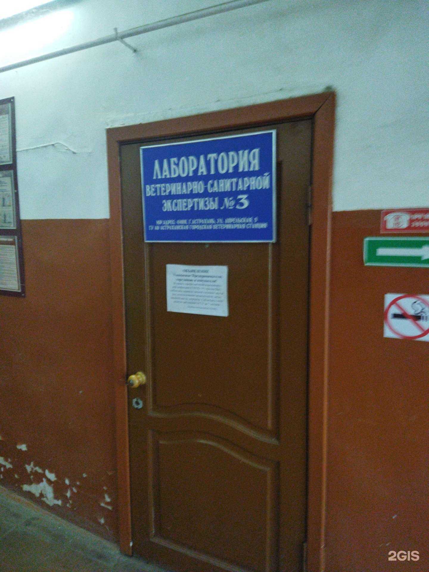 Отзывы на компанию Астраханская городская ветеринарная станция в Астрахани c фото