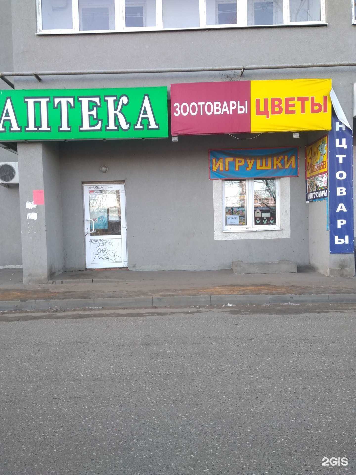 Отзывы на компанию Лапушки в Иванове c фото