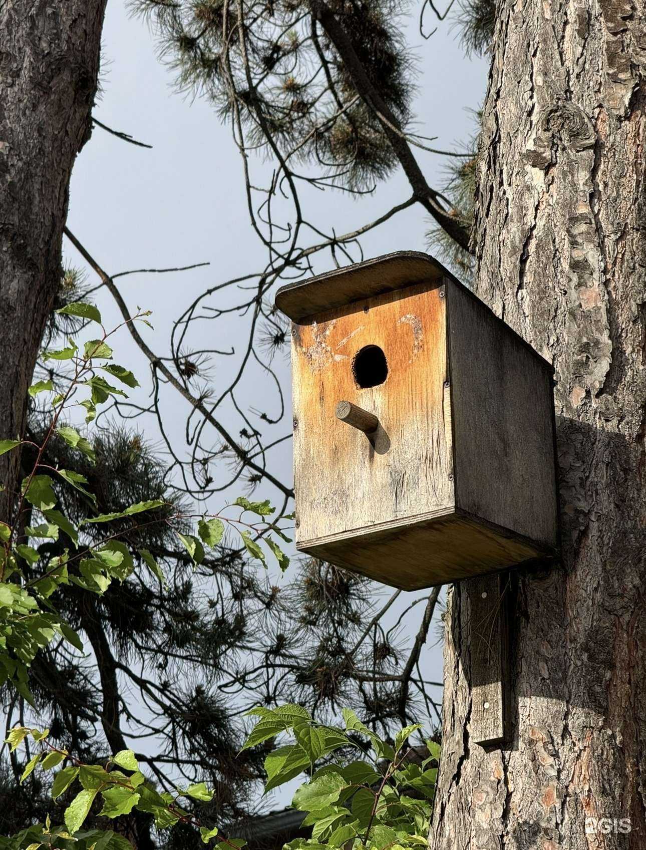 Отзывы на компанию Детский сад №65 комбинированного вида в Краснодаре c фото