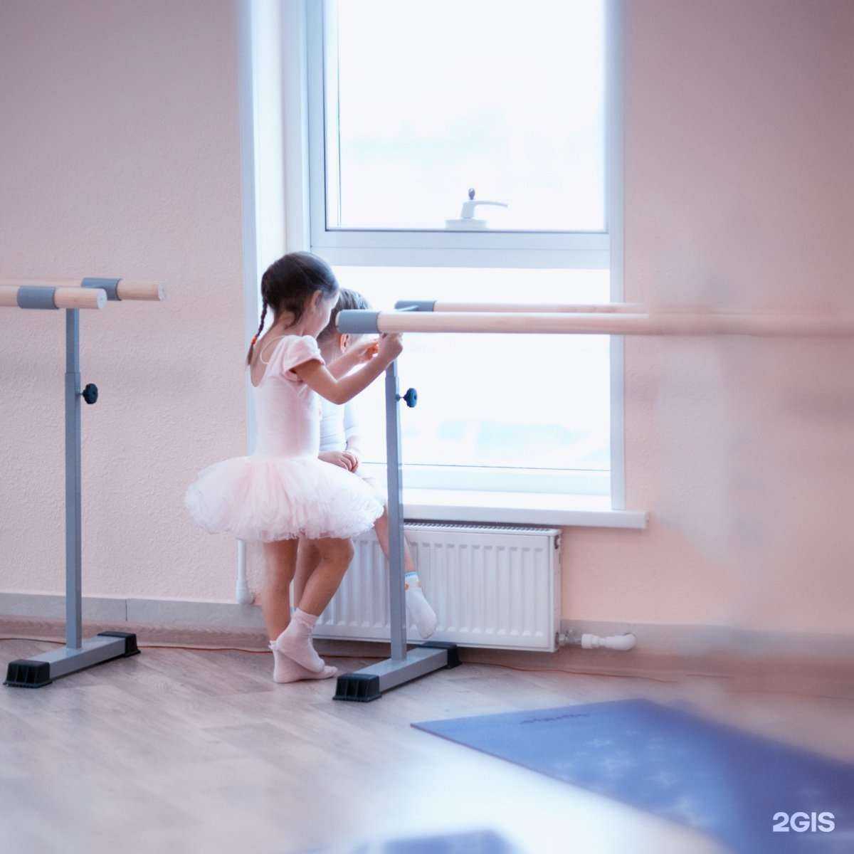 Отзывы на компанию Protein в Петропавловске-Камчатском c фото