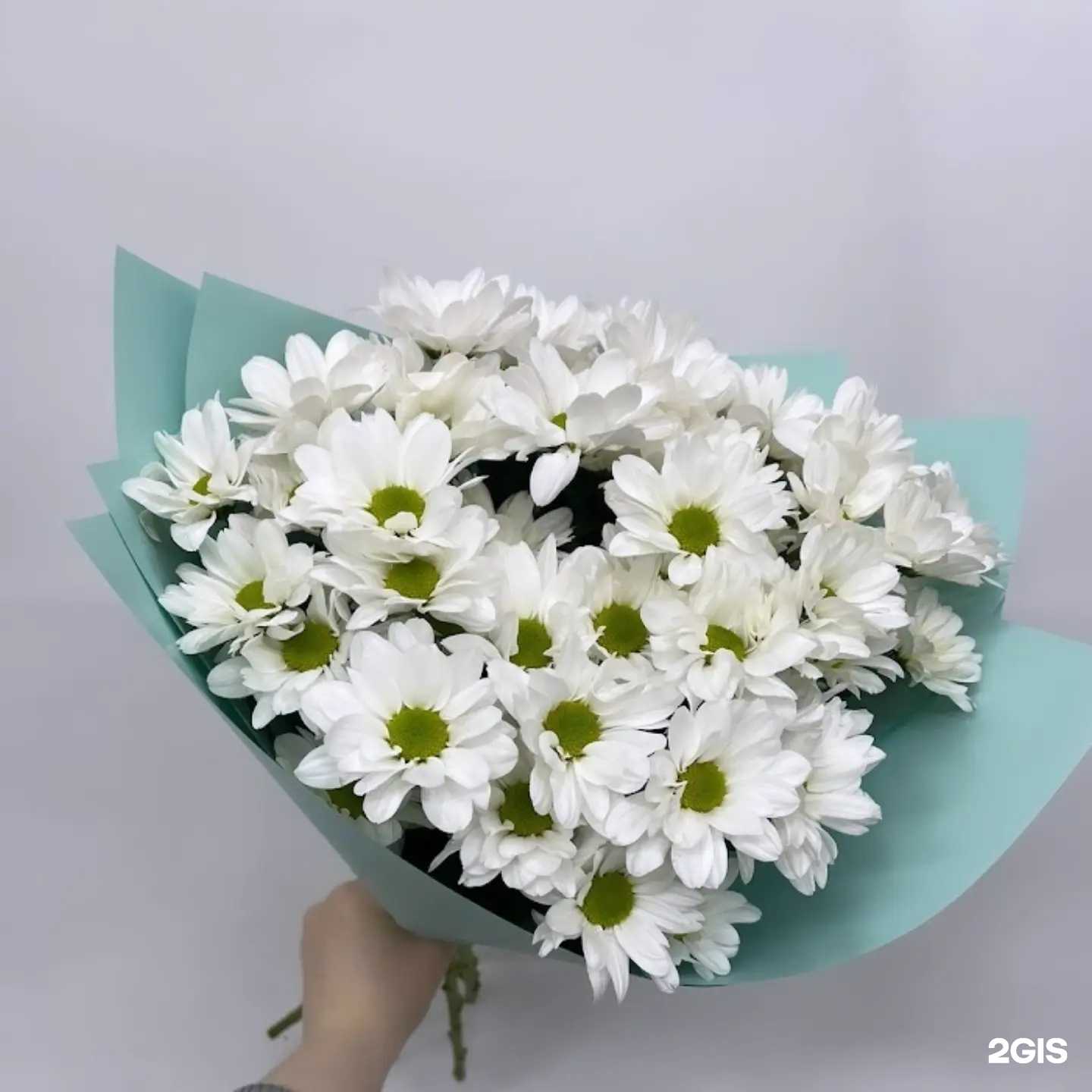 Отзывы на компанию Цветландия в Твери c фото