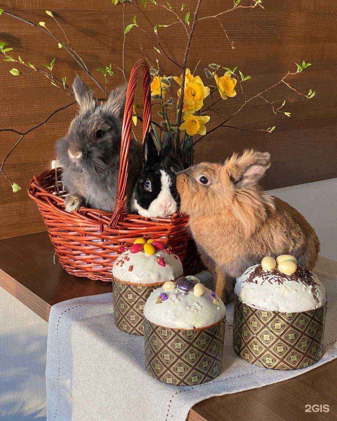 Отзывы на компанию Самокат в г. Зеленодольск c фото