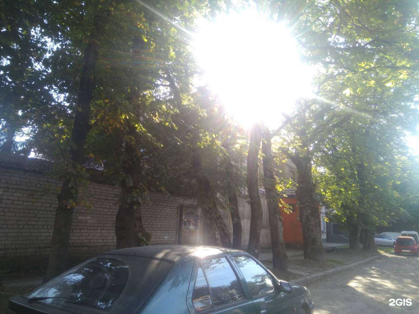 Отзывы на компанию АВ-Айболит в Калининграде c фото - фотография 2 из 2