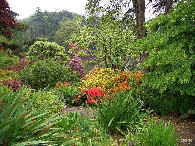 Отзывы на компанию Каштановая роща в Лобне c фото