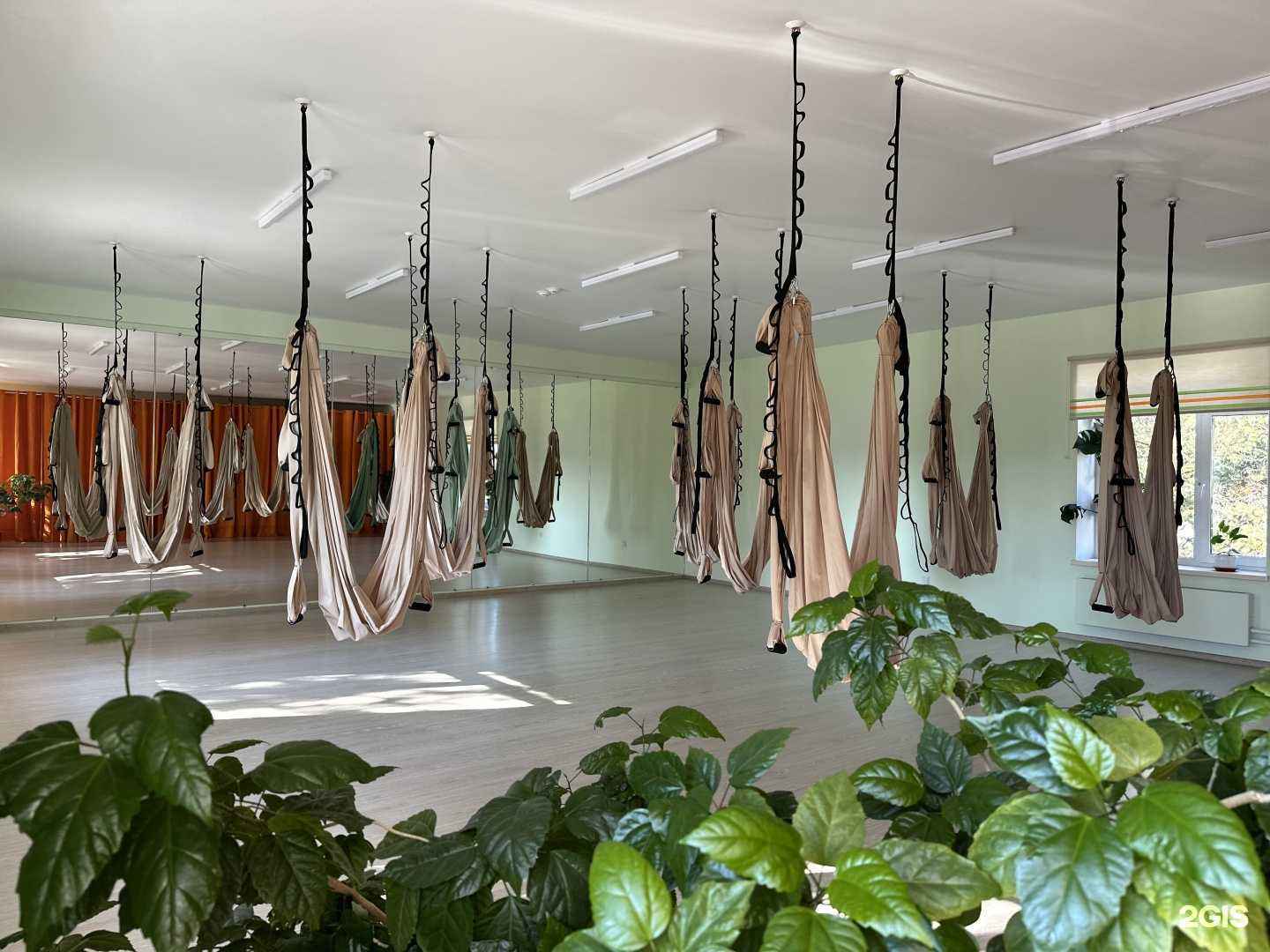 Отзывы на компанию Шанти в Ноябрьске c фото