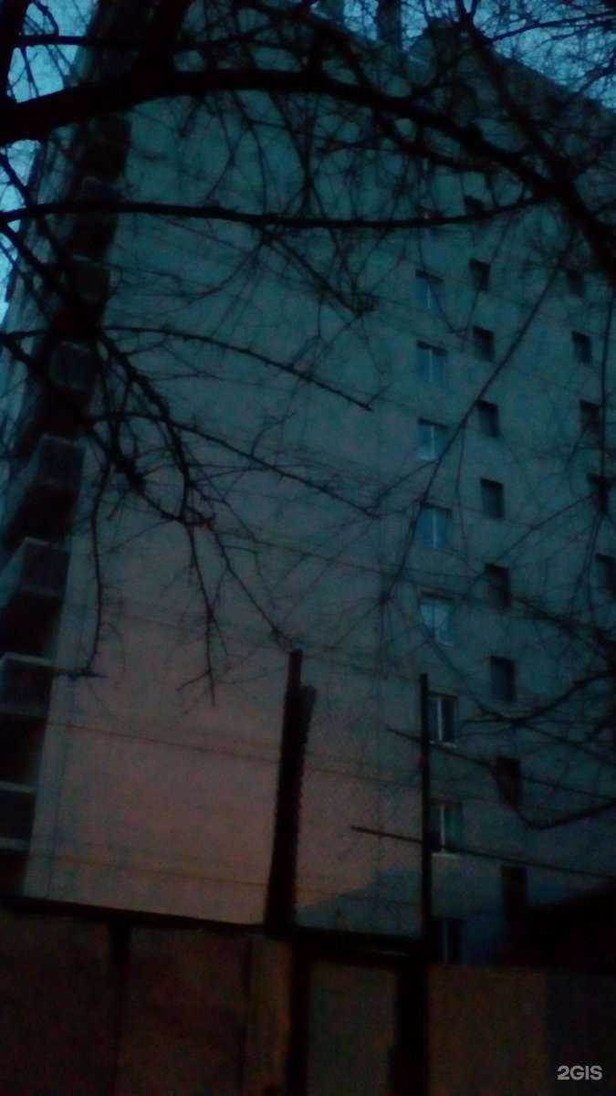 Отзывы на компанию Годзилла в Ростове-на-Дону c фото - фотография 2 из 2