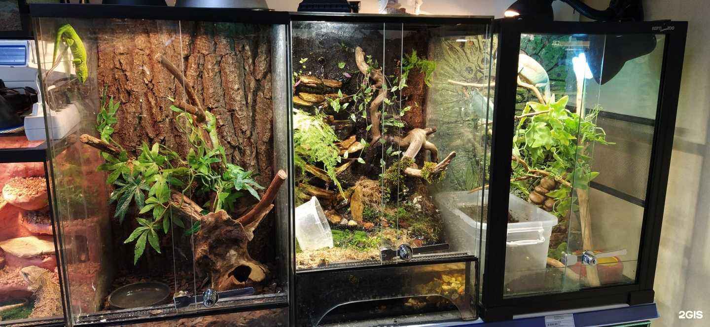 Отзывы на компанию Зооoстров в г. Воронеж c фото