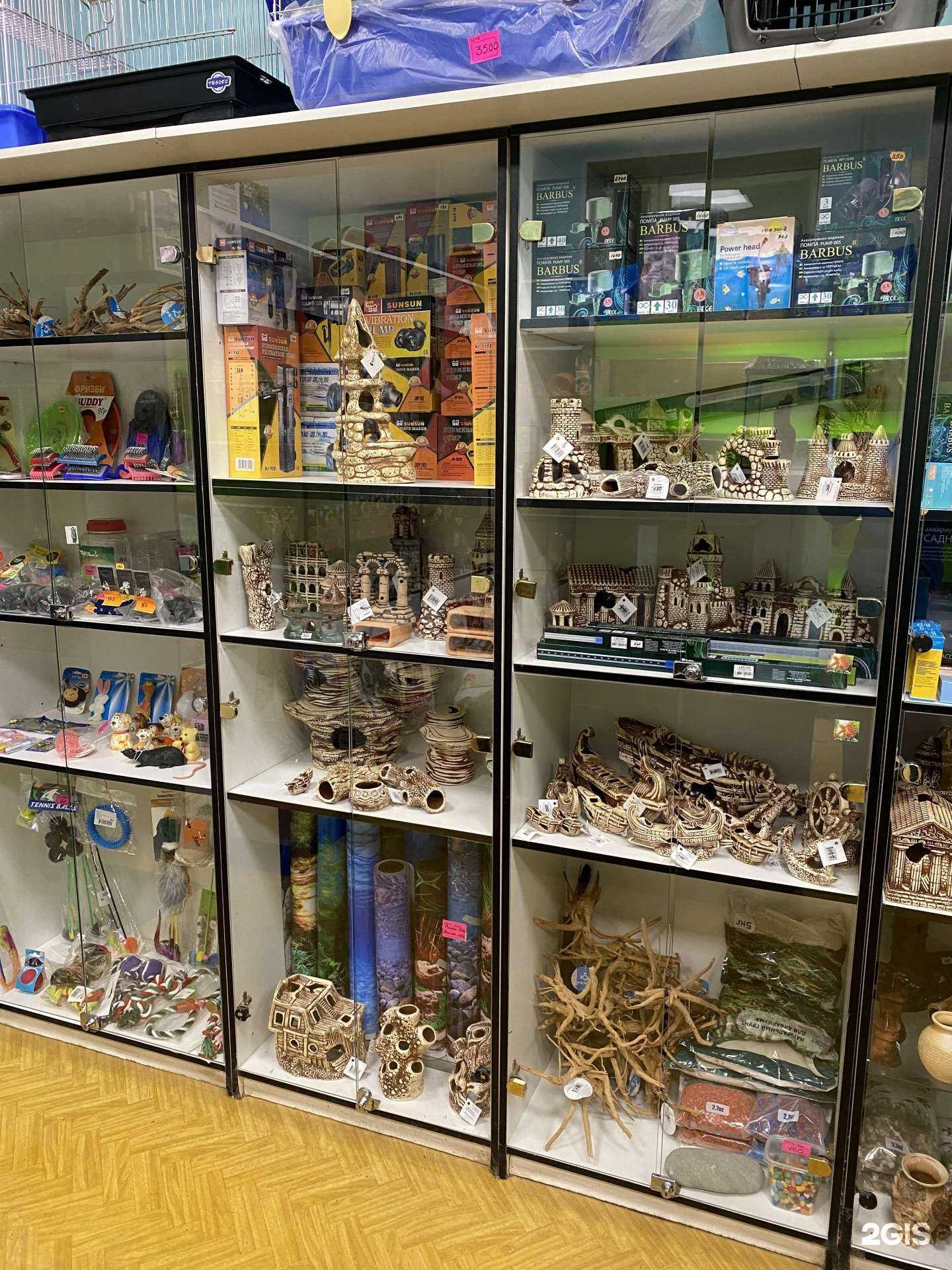 Отзывы на компанию Магазин зоотоваров в г. Рязань c фото