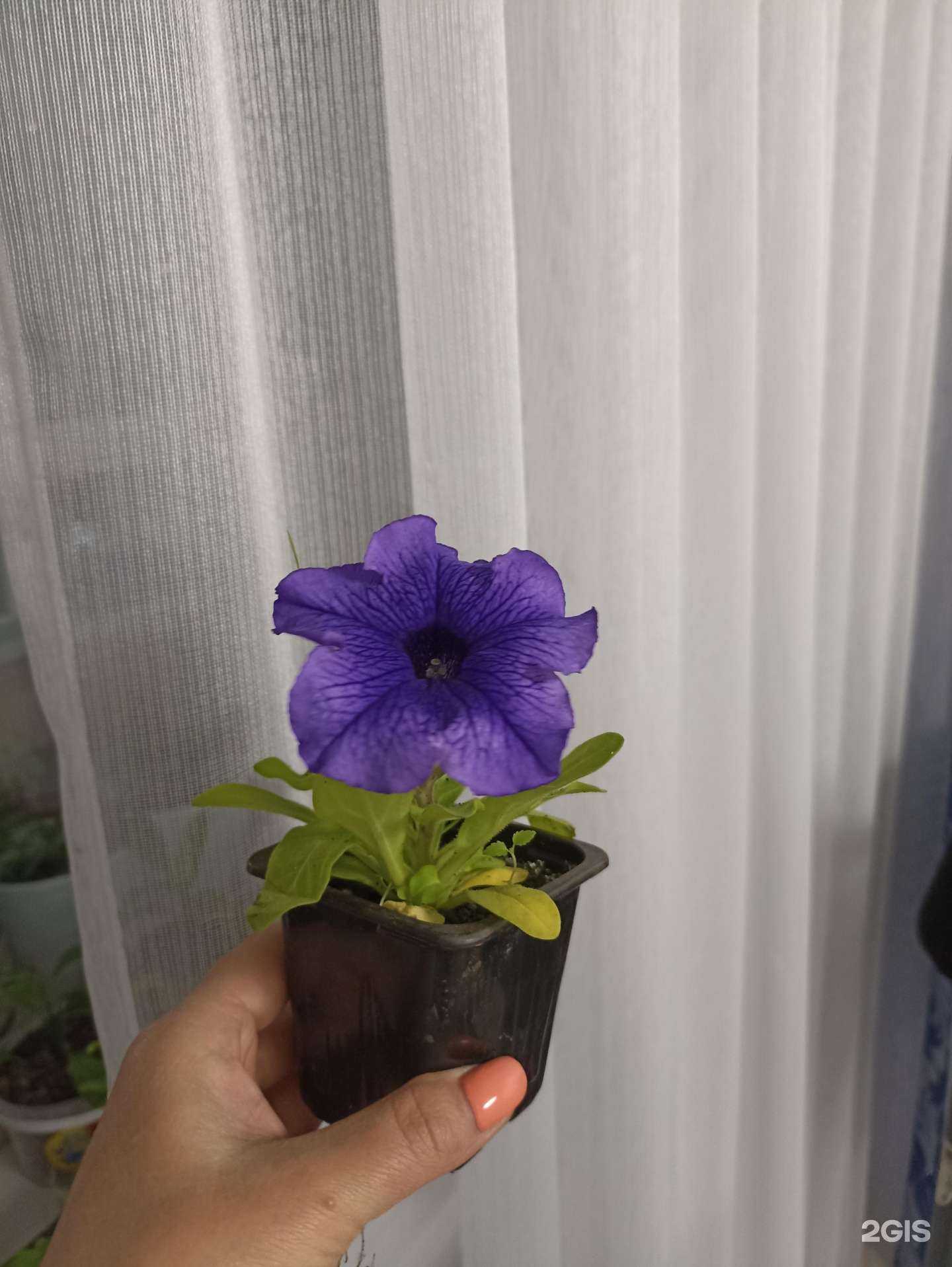 Отзывы на компанию Чистый мир в г. Челябинск c фото