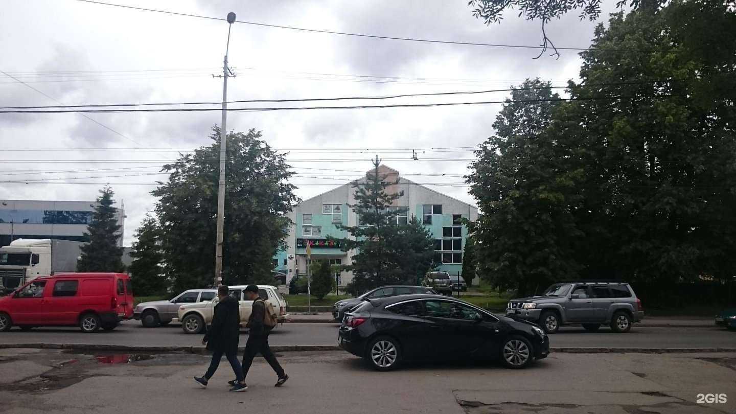 Отзывы на компанию Какаду в Калининграде c фото - фотография 2 из 2