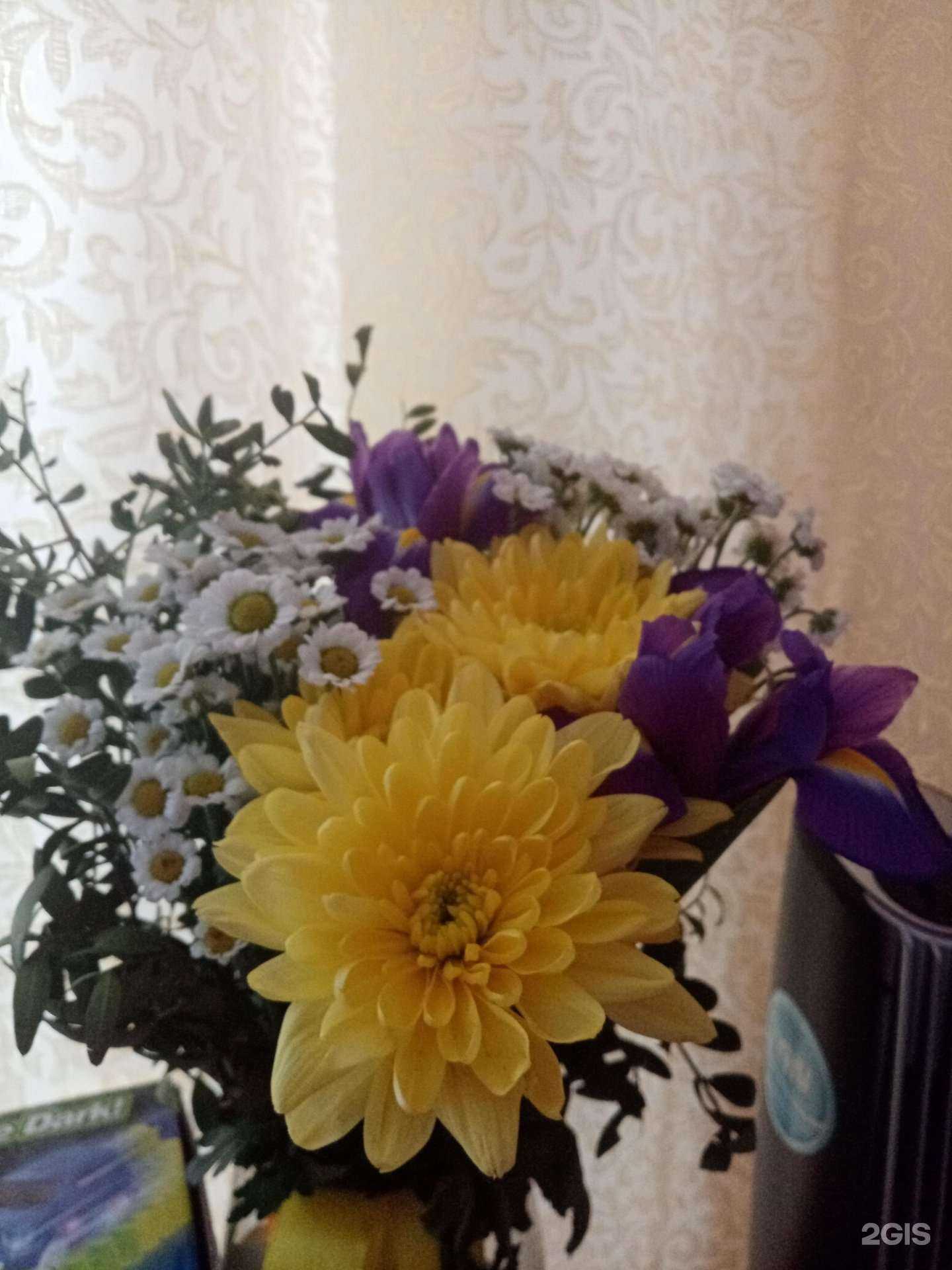 Отзывы на компанию Цветlоff  в Уфе c фото