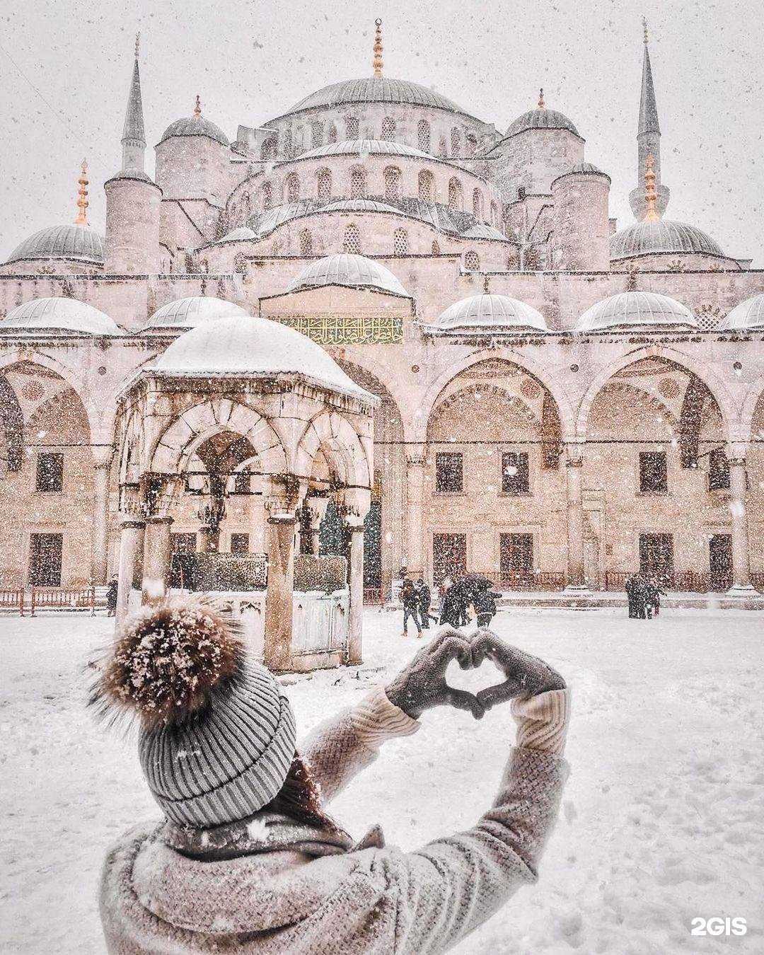 Отзывы на компанию Розовый слон в г. Батайск c фото