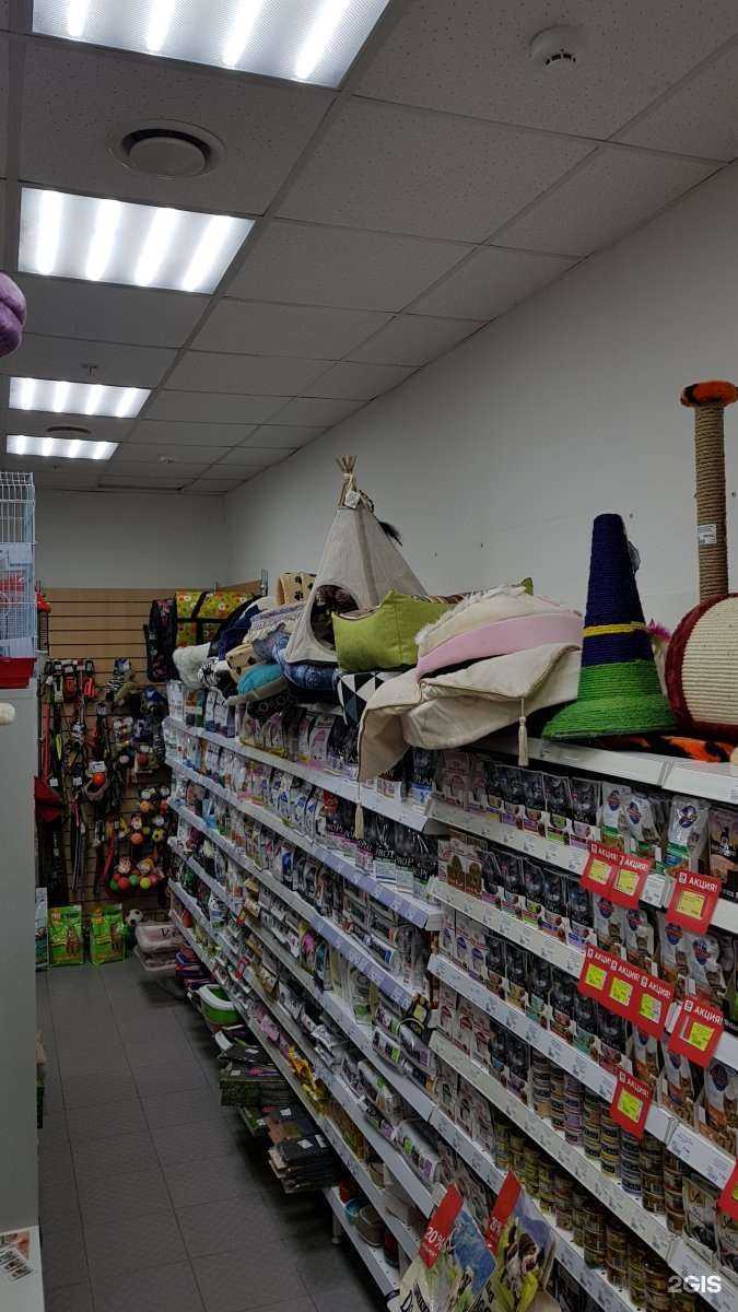 Отзывы на компанию Зоопарк в г. Самара c фото