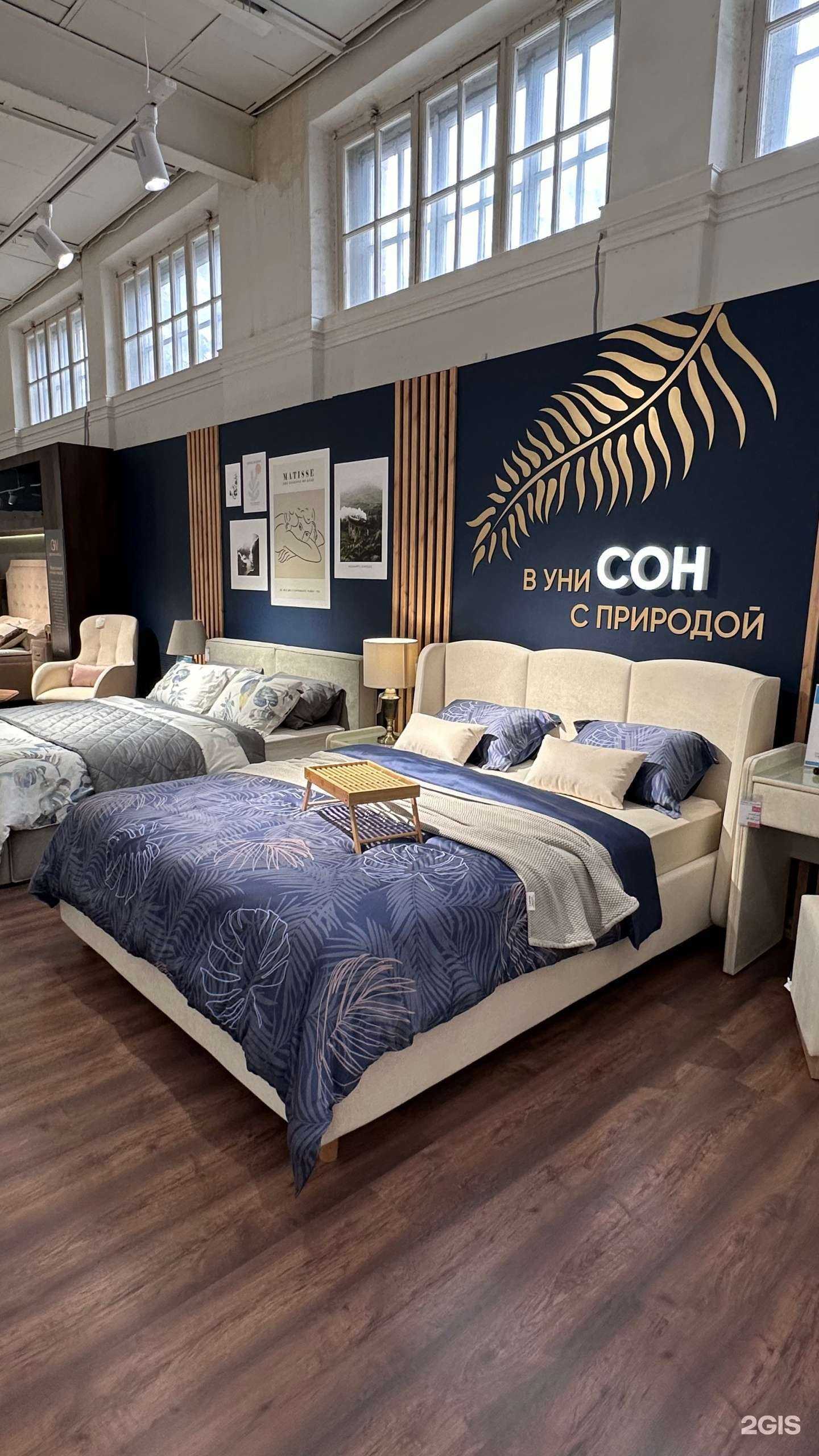 Отзывы на компанию askona в г. Шахты c фото