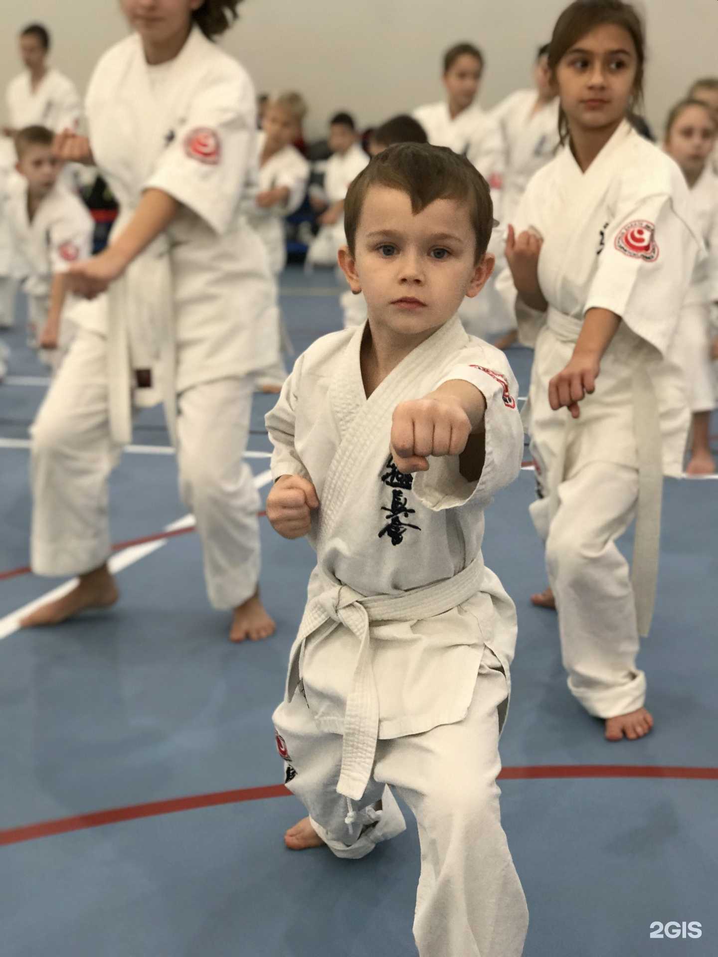 Отзывы на компанию Спортивный клуб в Сочи c фото