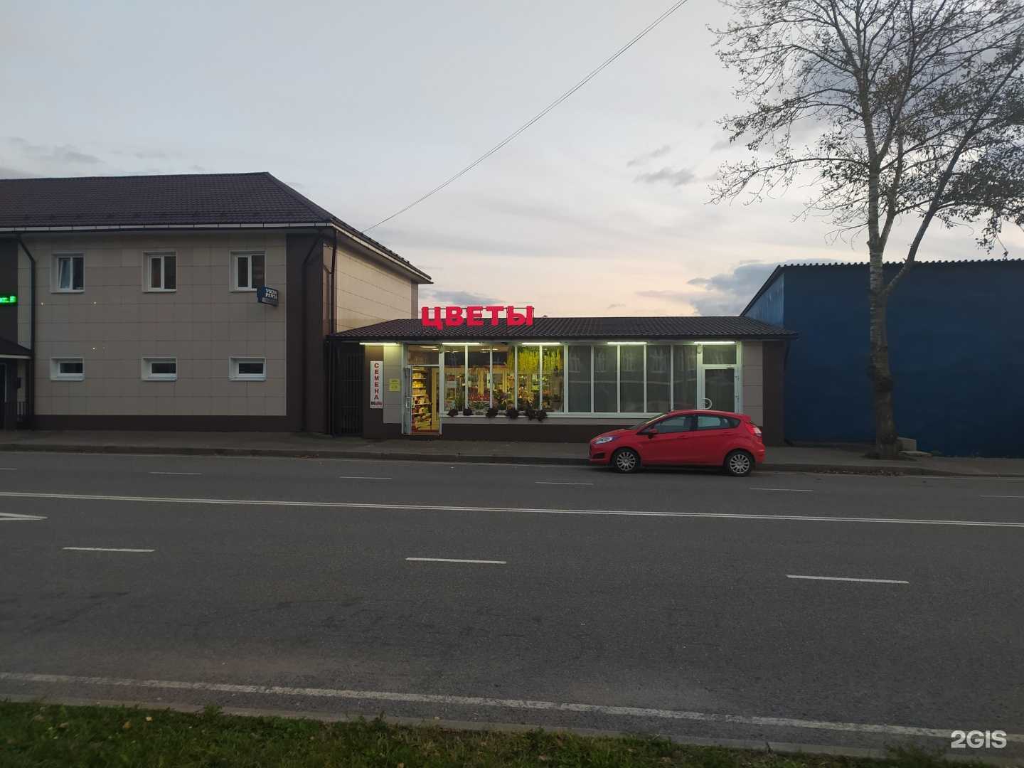 Отзывы на компанию Любимые цветы в г. Долгопрудный c фото