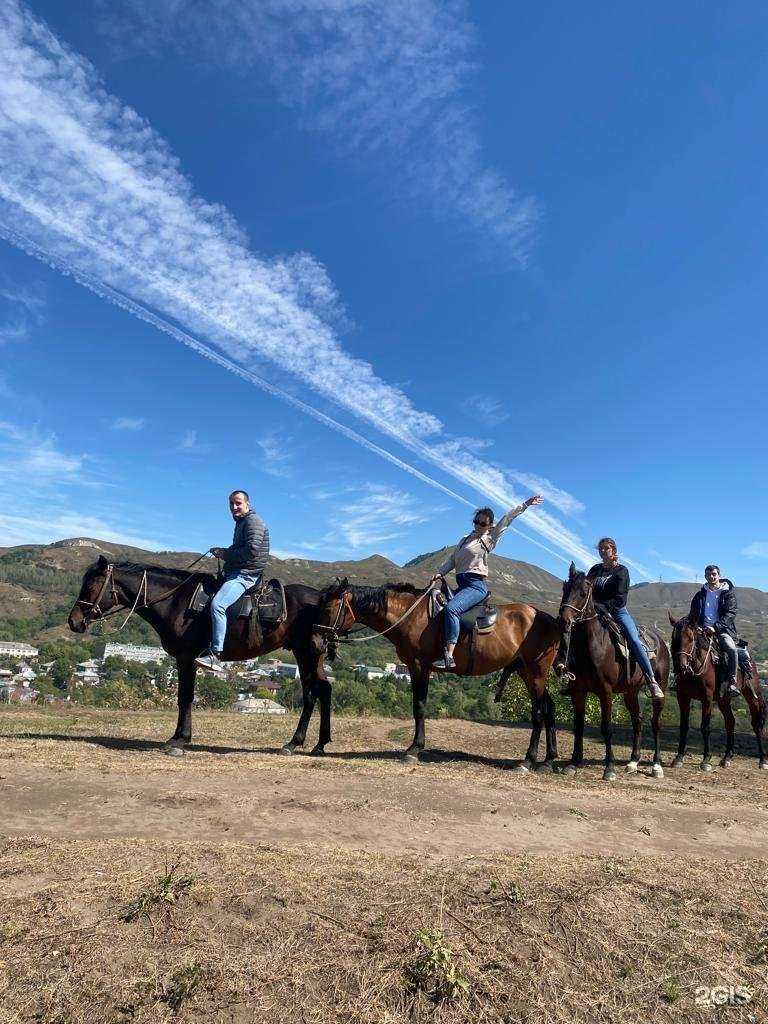 Отзывы на компанию Horse Kislovodsk в г. Кисловодск c фото
