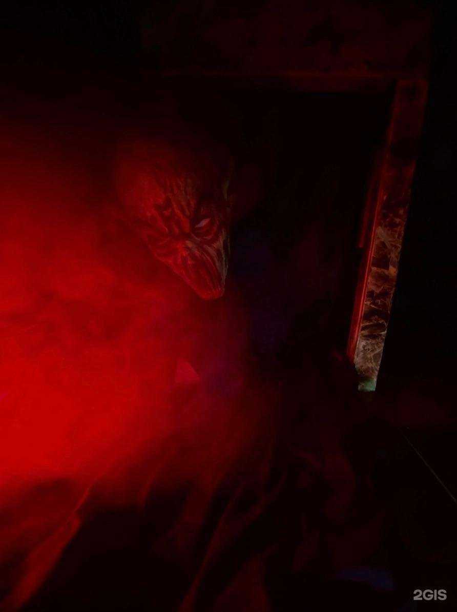 Отзывы на компанию Alliance Quest в Омске c фото