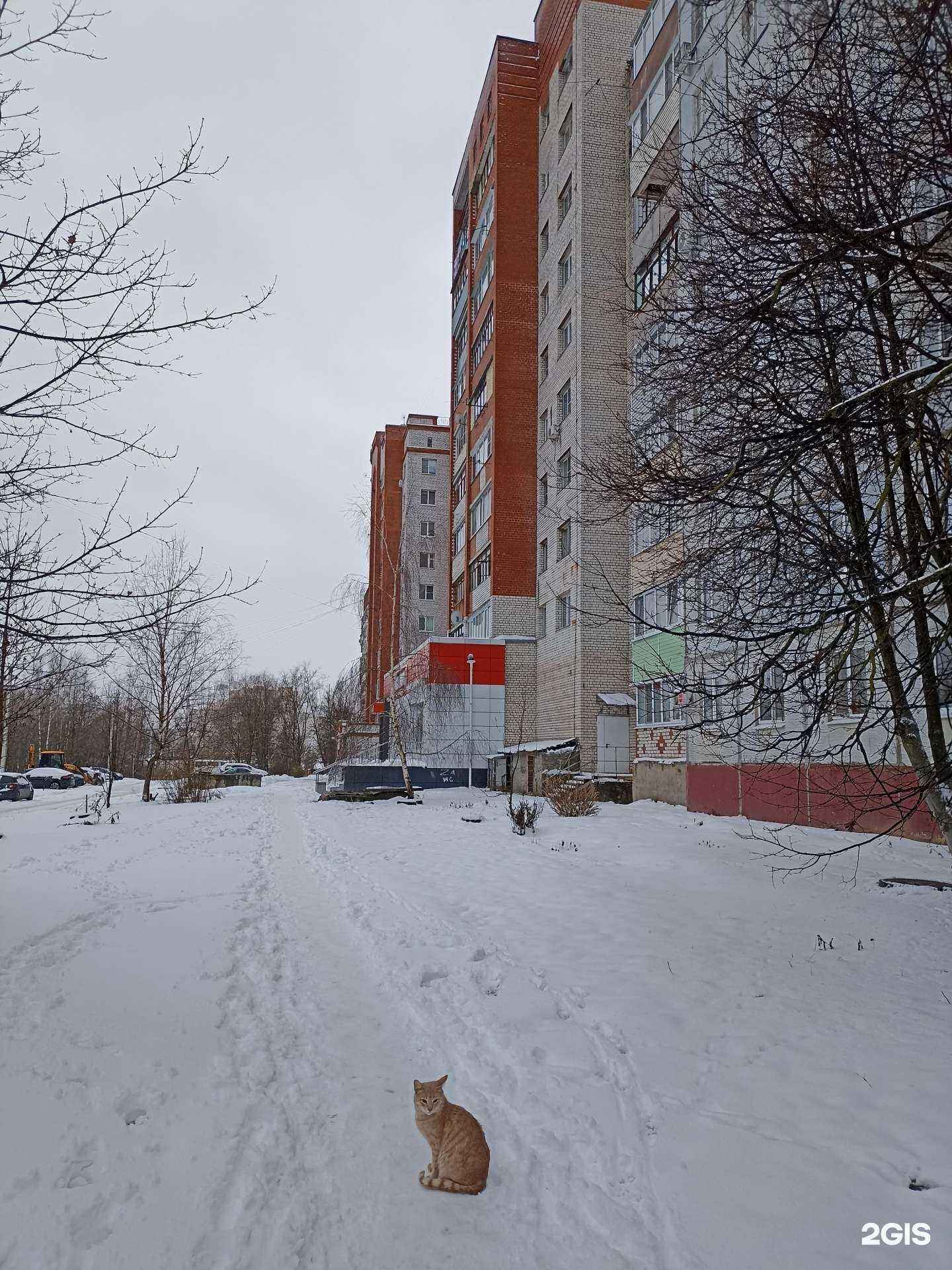 Отзывы на компанию Живая вода в Калуге c фото