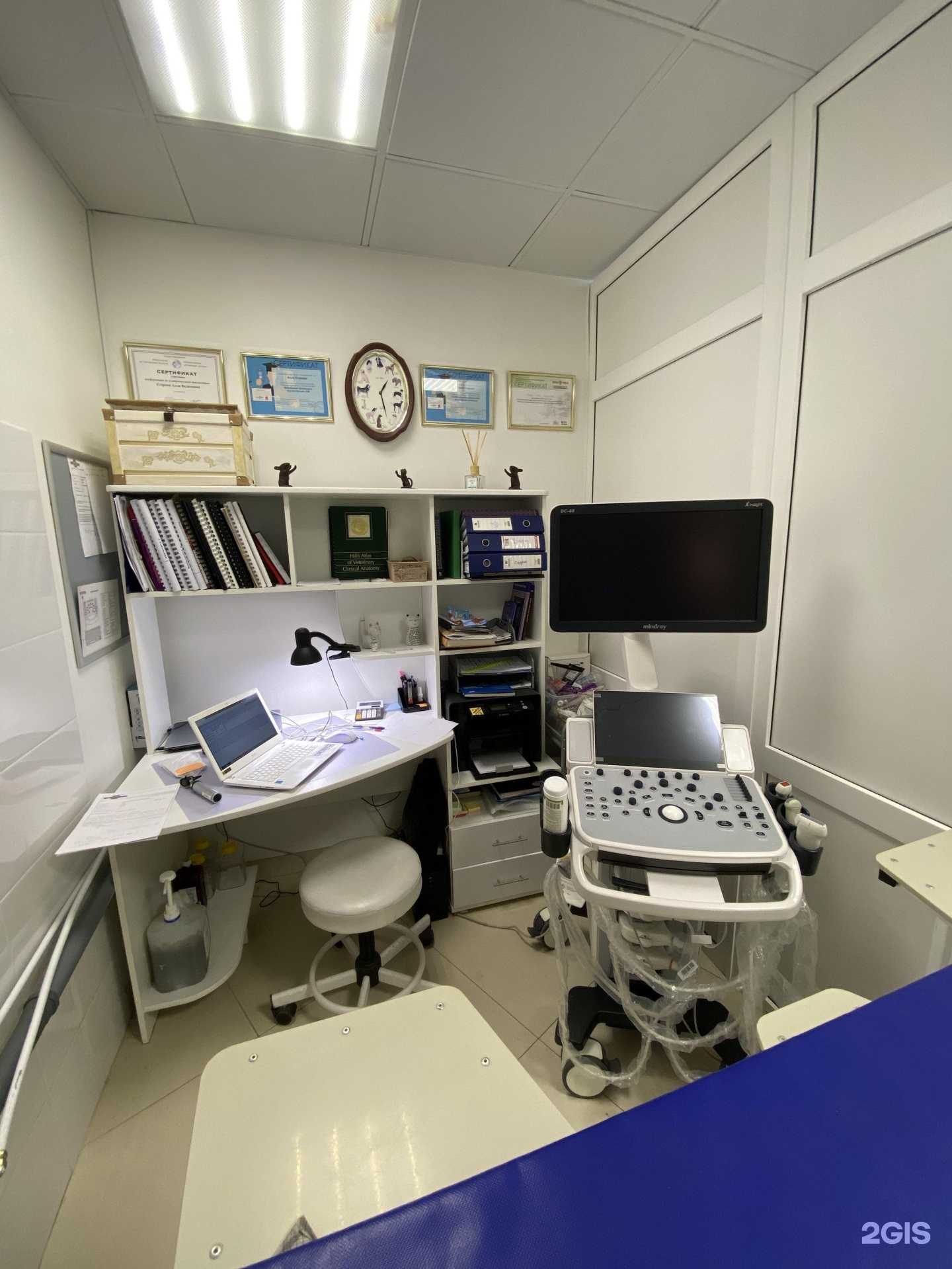 Отзывы на компанию В мире с животными в Серпухове c фото