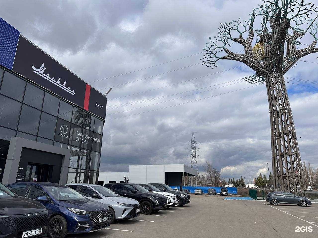 Отзывы на компанию Москвич Ринг в Курске c фото