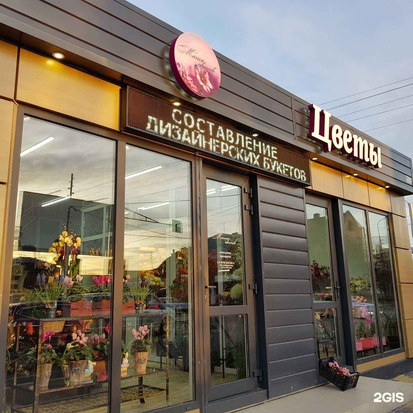 Отзывы на компанию Магия цветов в Краснодаре c фото