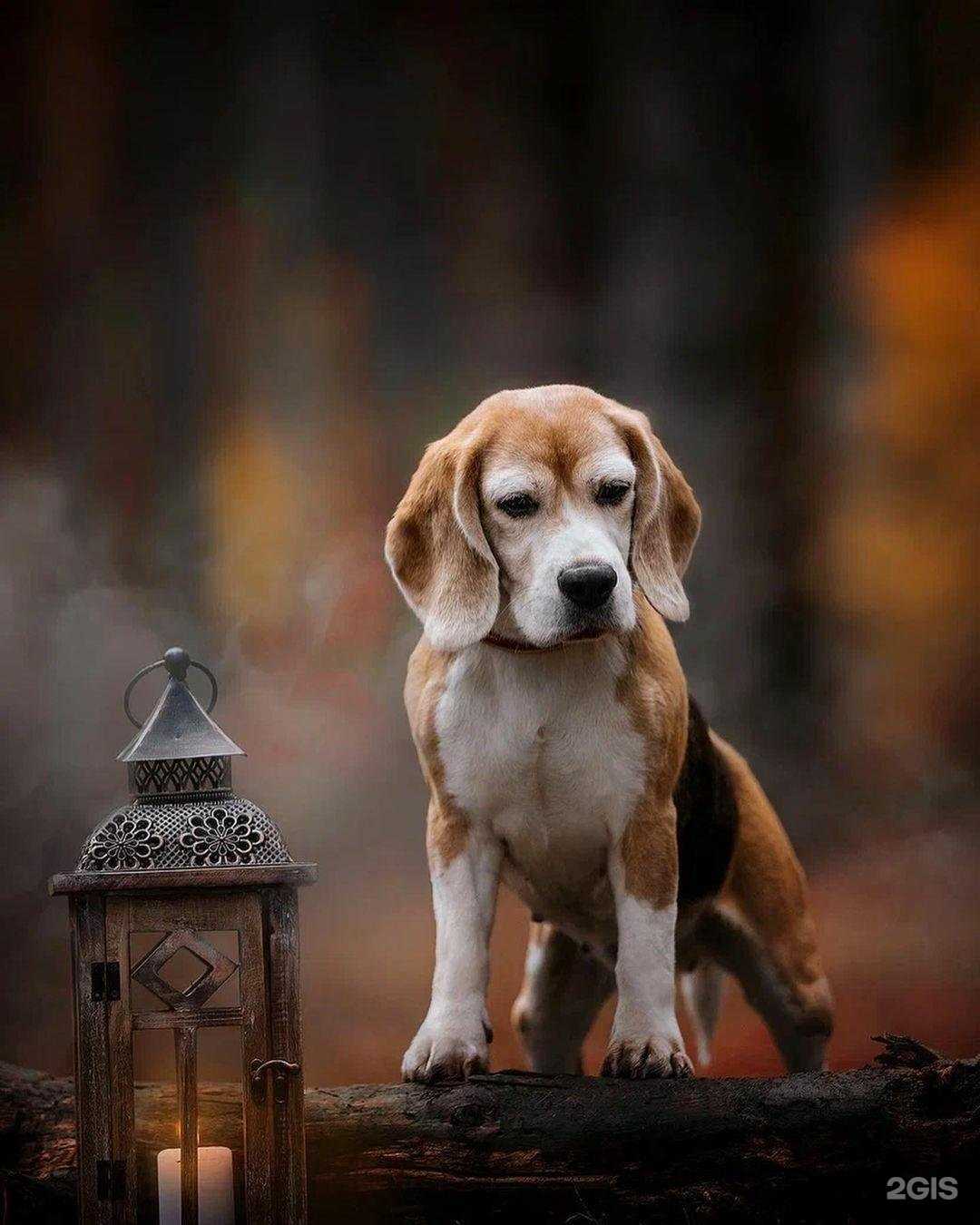 Отзывы на компанию Тандем в Рязани c фото