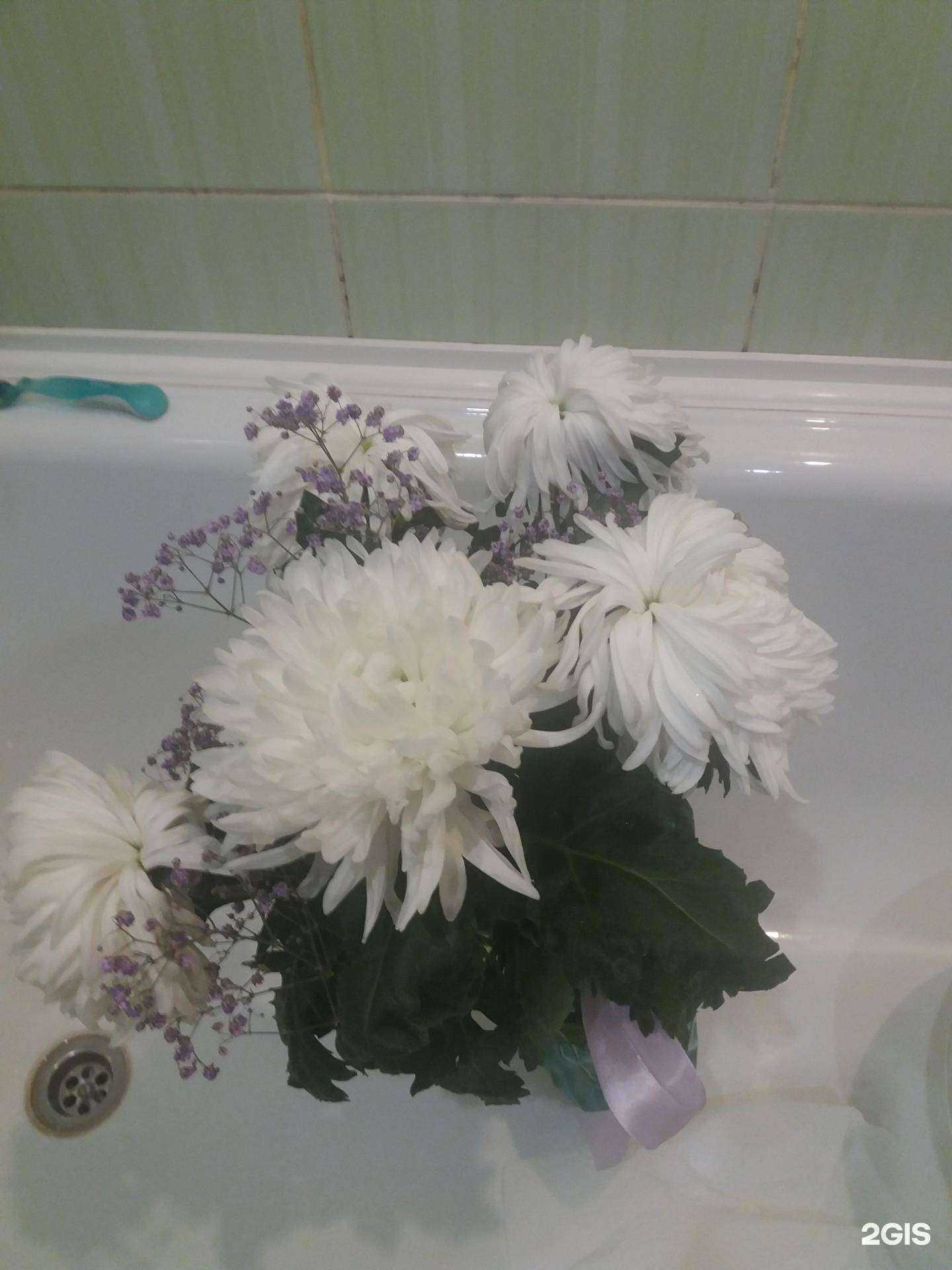 Отзывы на компанию Мари Флор в г. Красноярск c фото