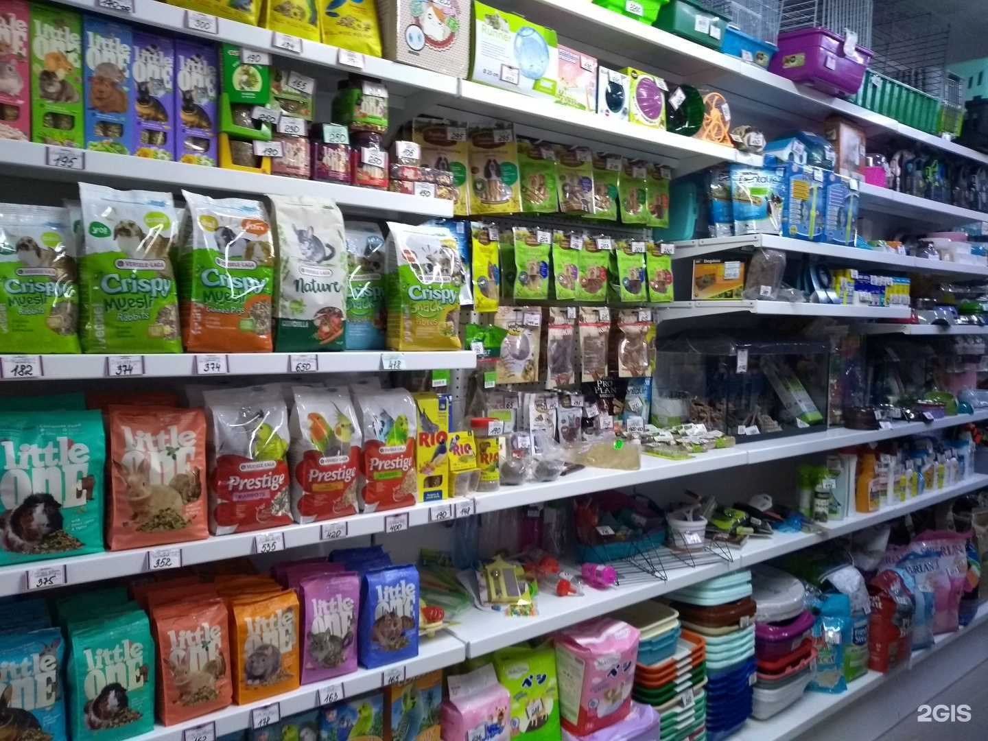 Отзывы на компанию Зоолавка в г. Якутск c фото