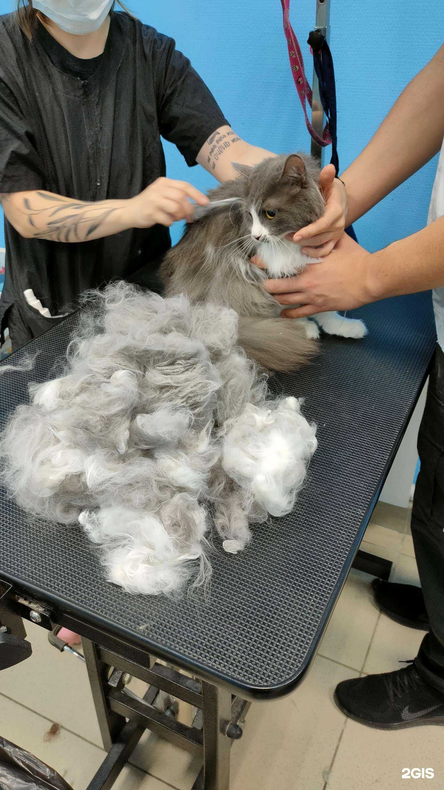 Отзывы на компанию Василек в Нижнем Новгороде c фото