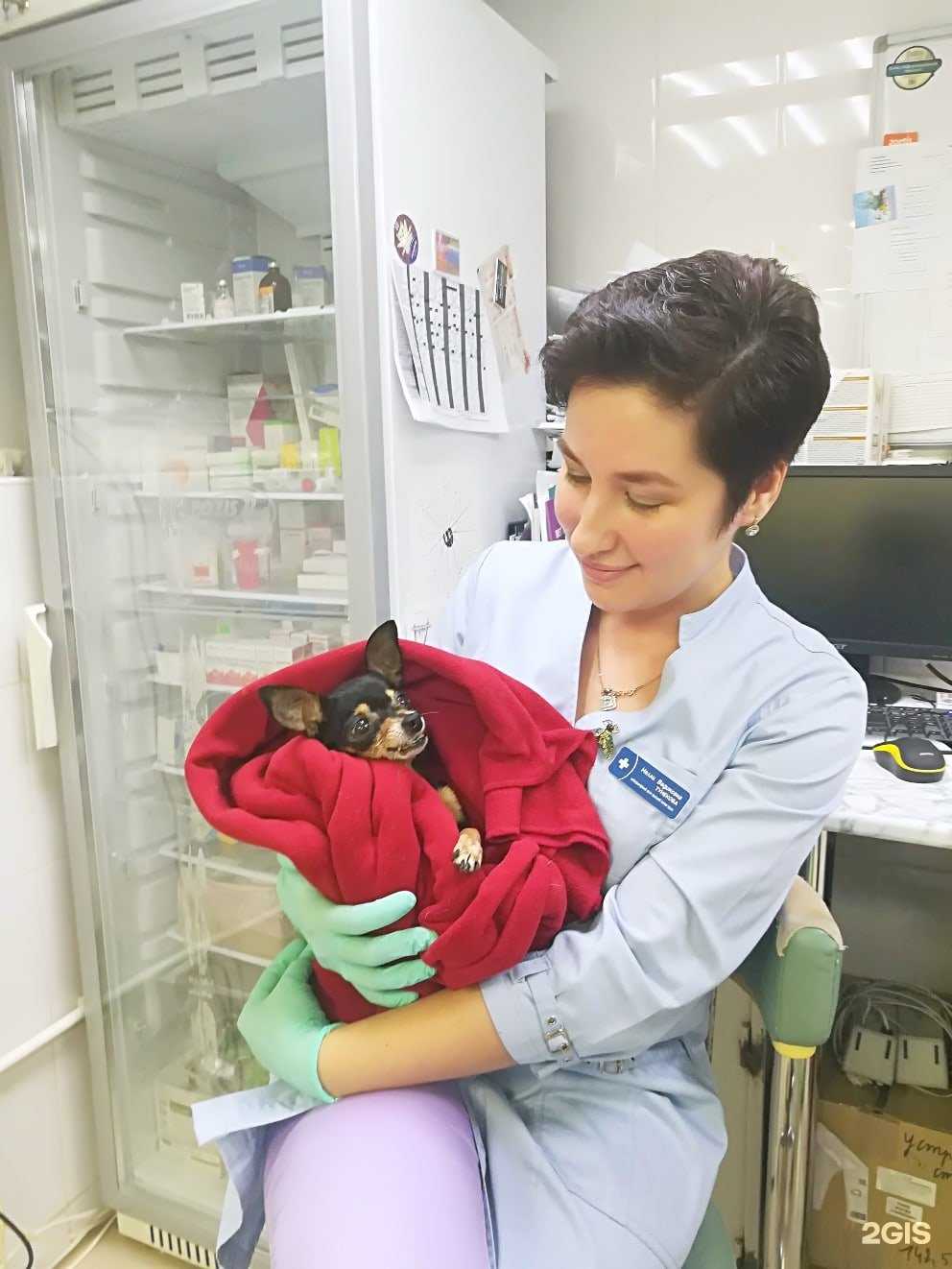 Отзывы на компанию Дойче Вет в г. Пермь c фото