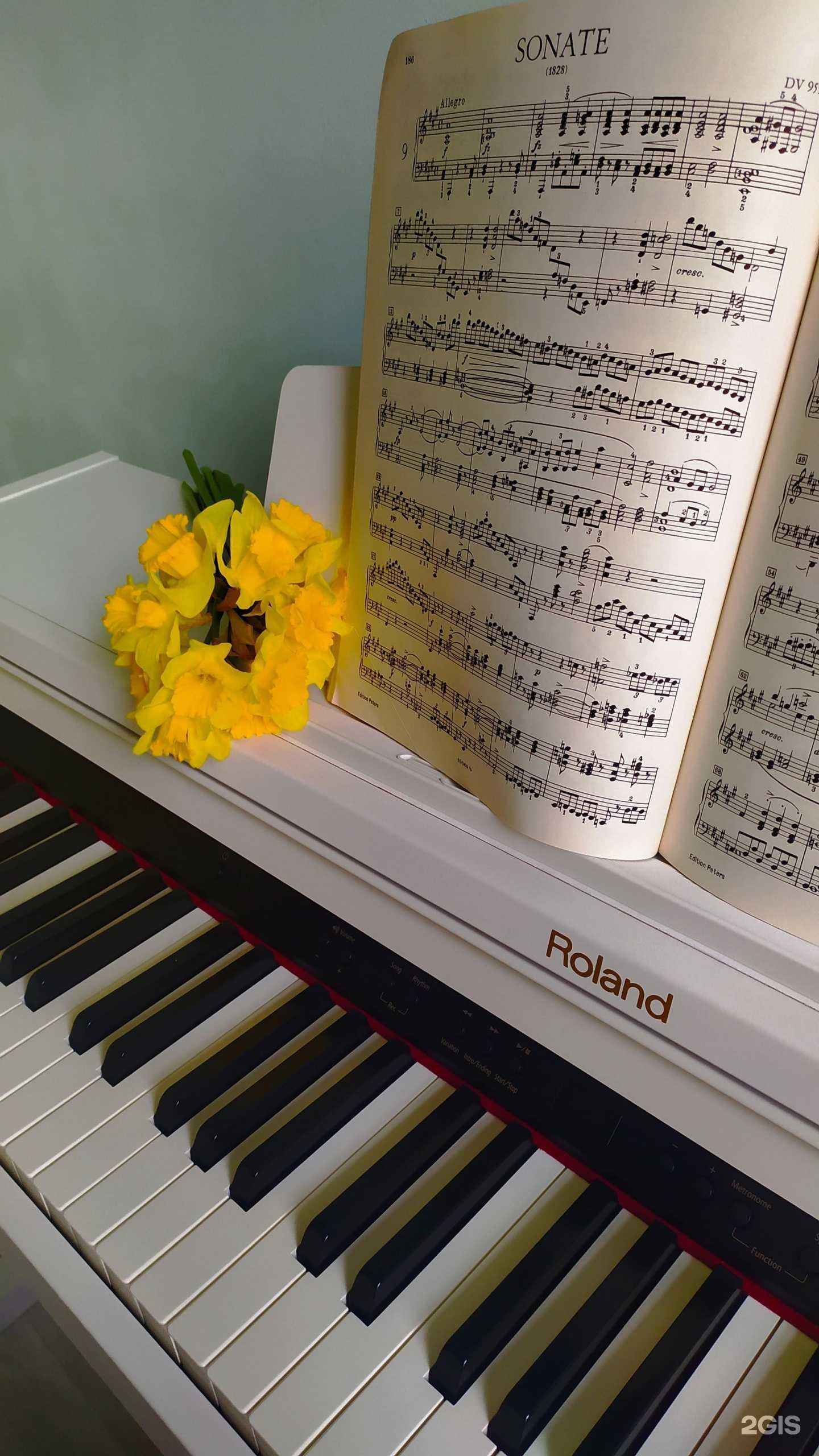 Отзывы на компанию Antoninapiano в Ростове-на-Дону c фото