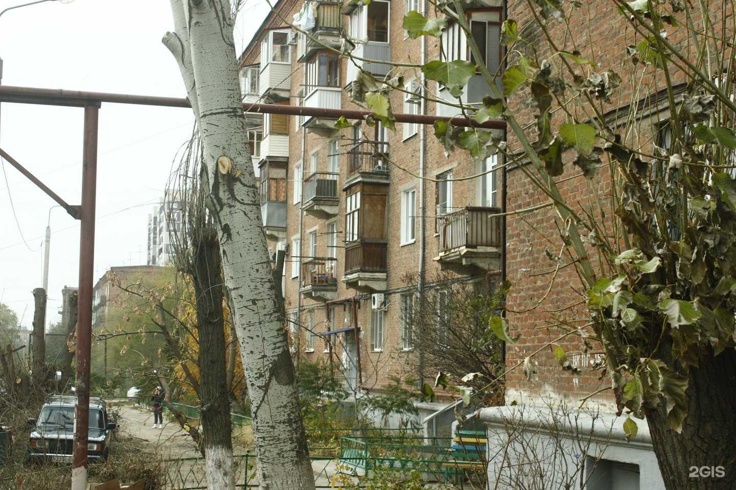 Отзывы на компанию Айболит в Волгограде c фото - фотография 2 из 2