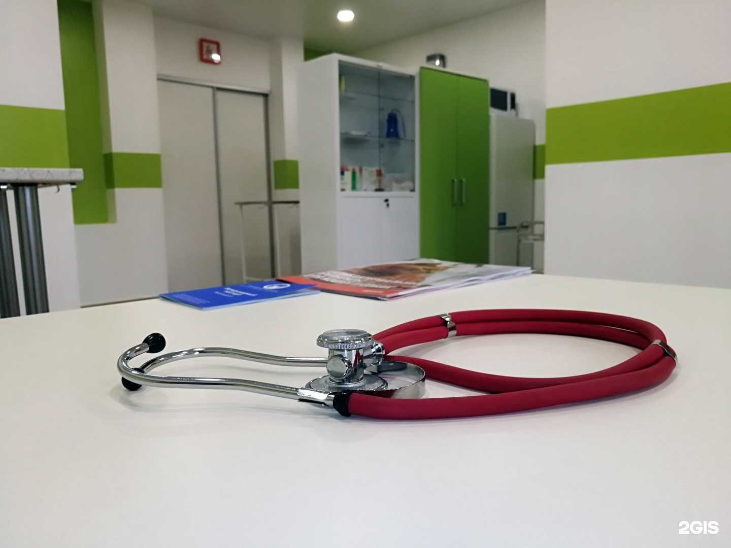 Отзывы на компанию Мокрый нос в Калининграде c фото