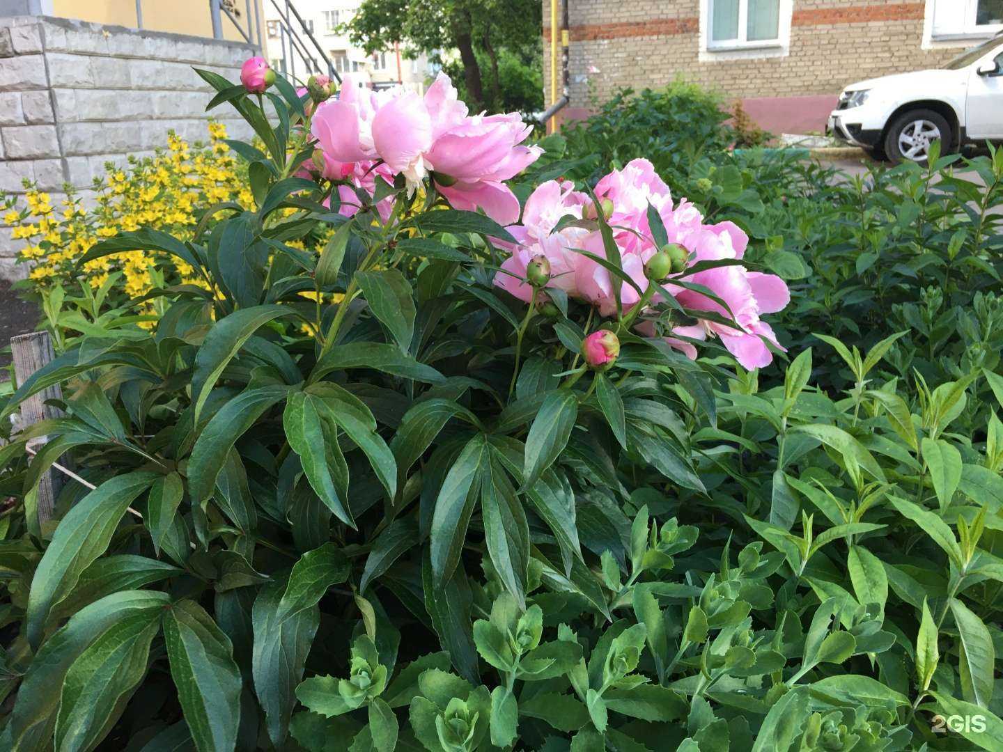 Отзывы на компанию Ani в Тамбове c фото - фотография 2 из 2