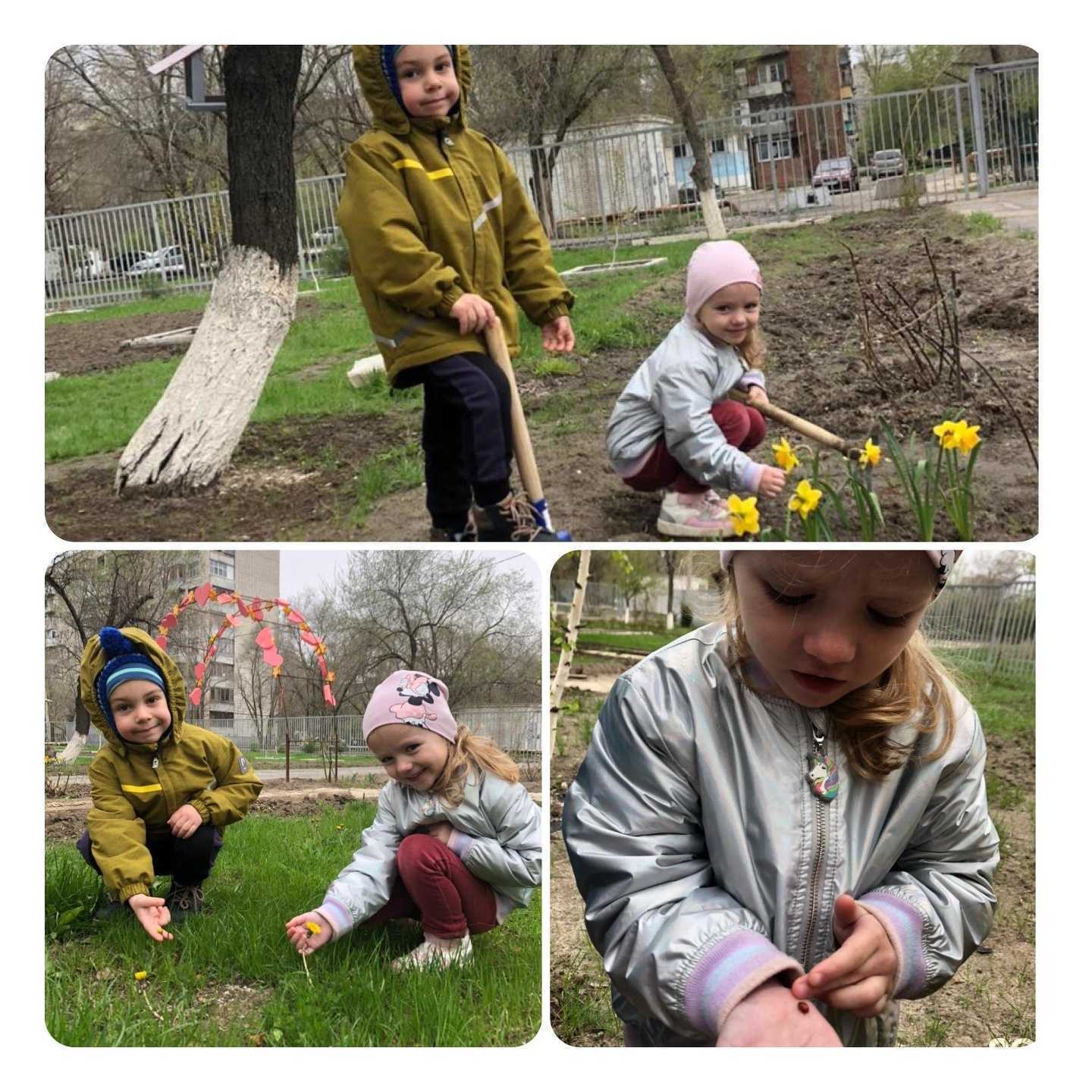 Отзывы на компанию Детский сад №325 в Волгограде c фото