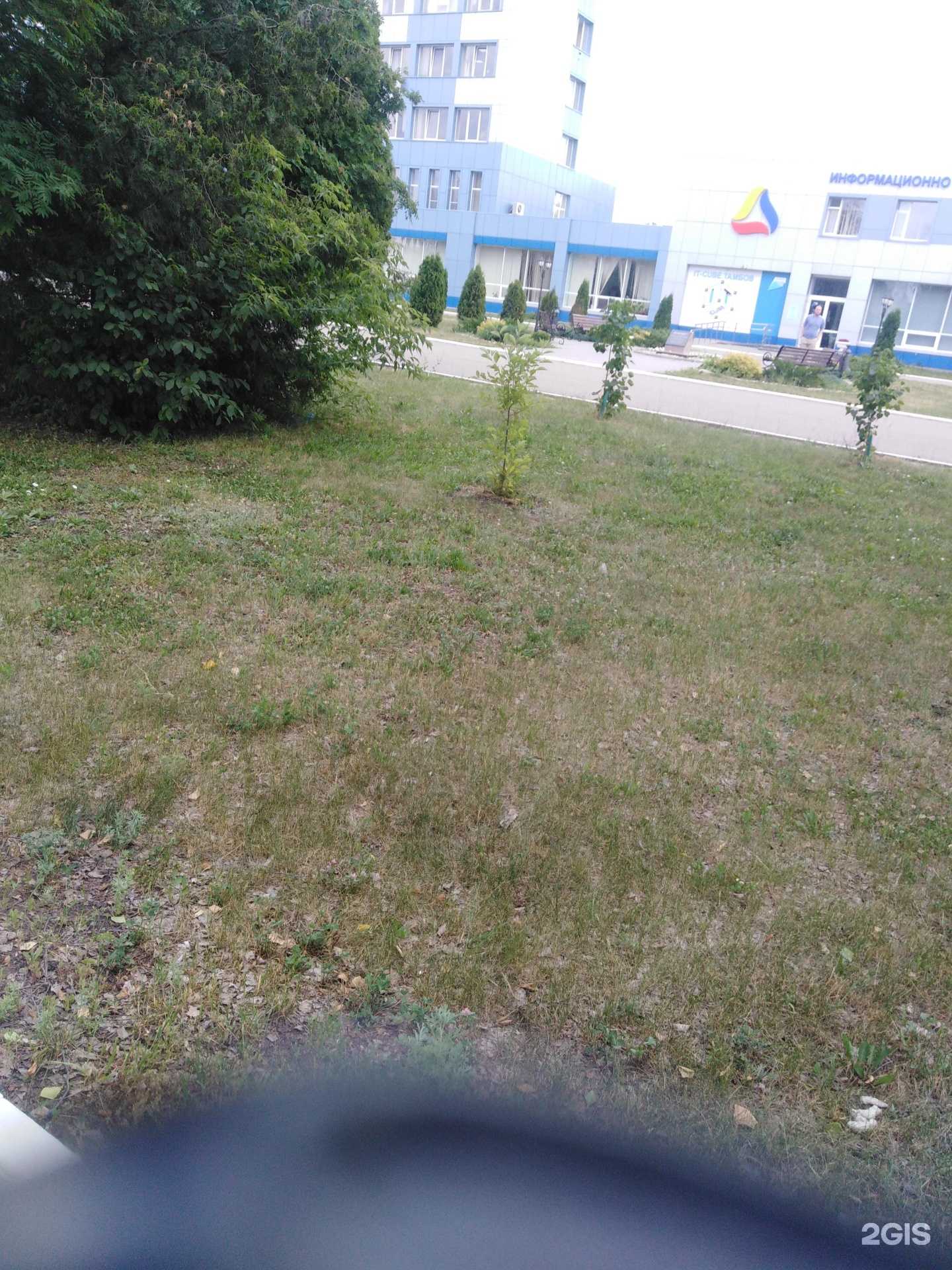 Отзывы на компанию IT-куб в Тамбове c фото