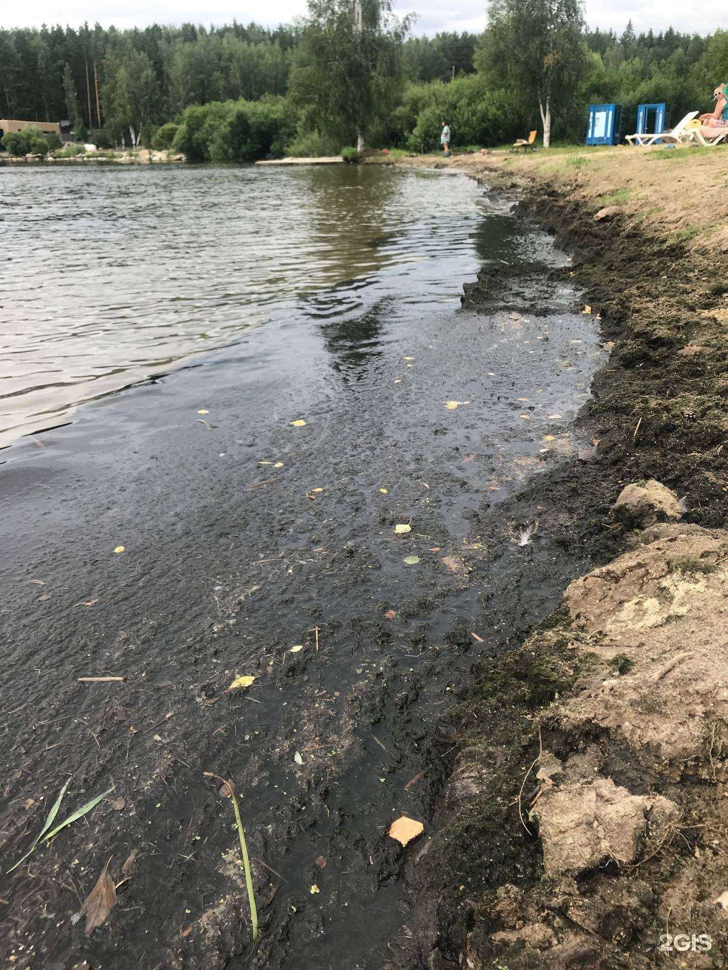Отзывы на компанию Виват-Урал в г. Екатеринбург c фото