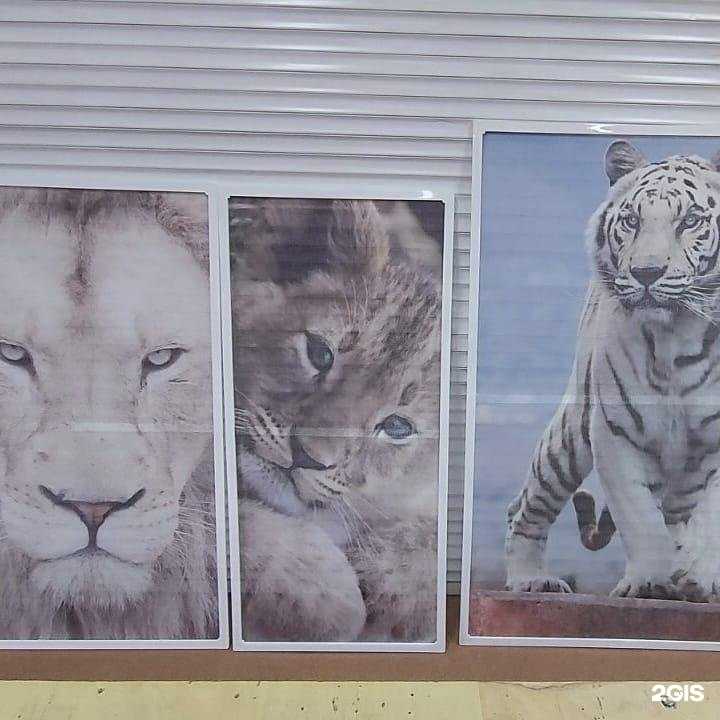 Отзывы на компанию Практичная защита gm в Челябинске c фото