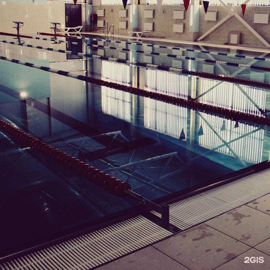 Отзывы на компанию Бассейн в Грозном c фото