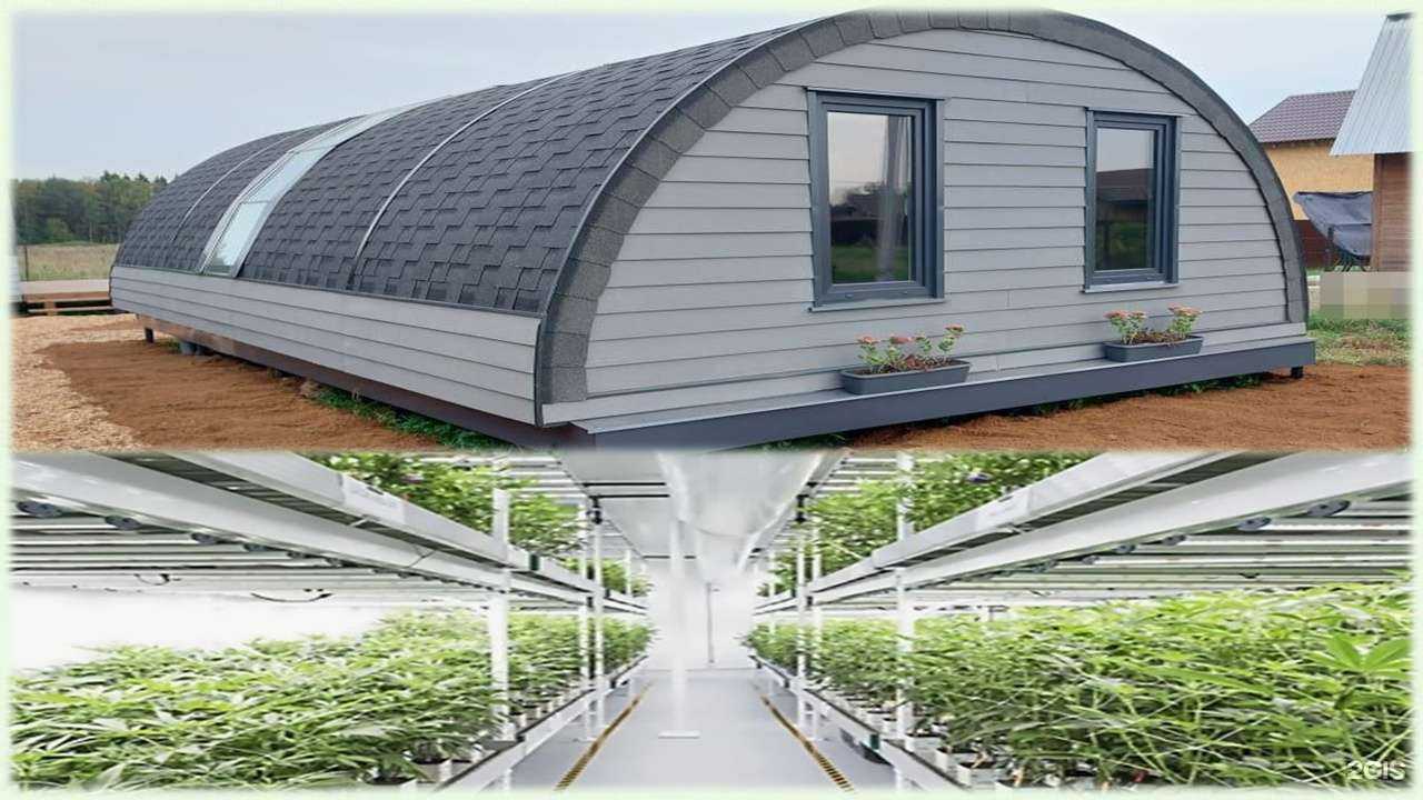 Отзывы на компанию Лайф ферма в Солнечногорске c фото