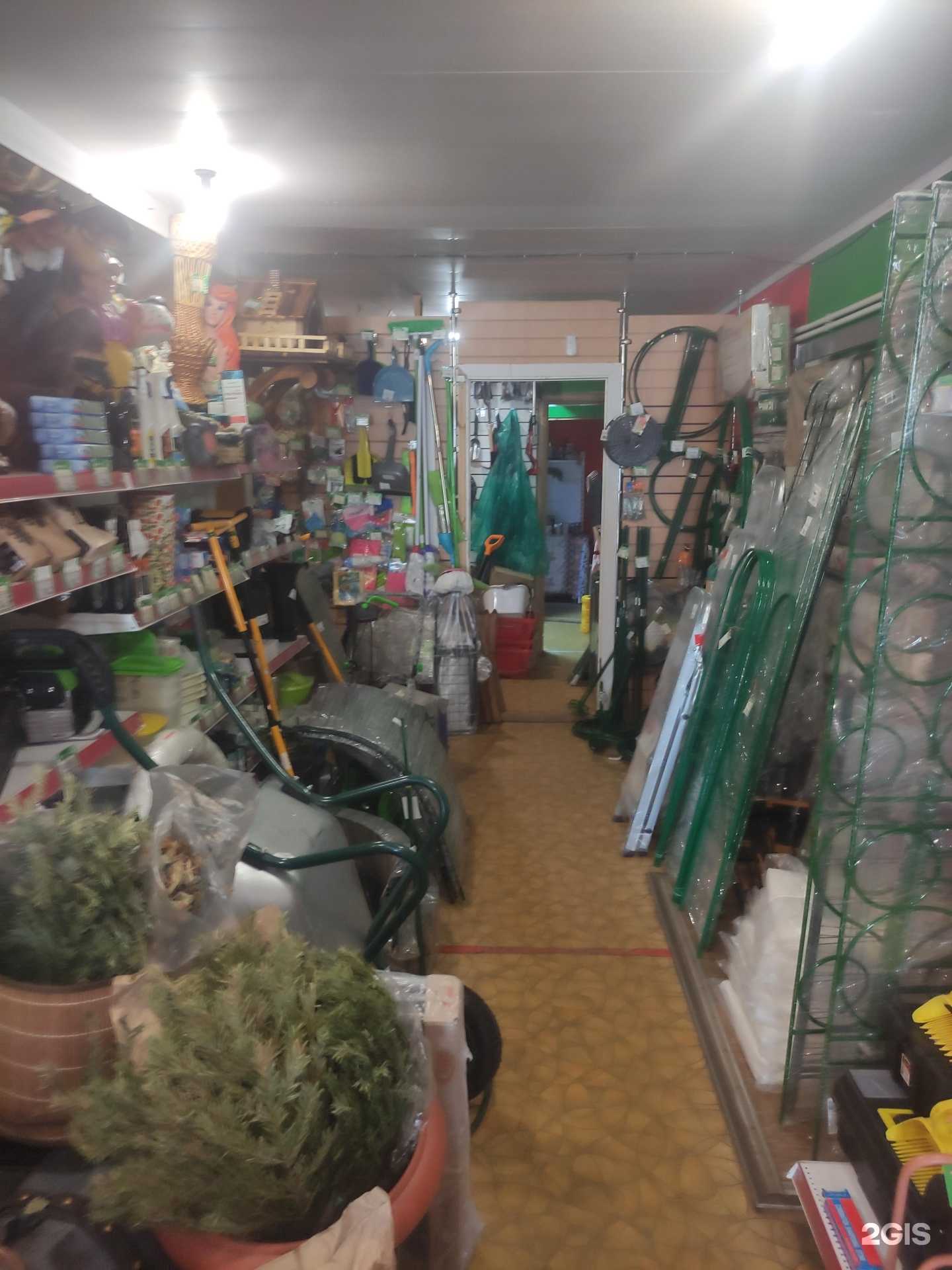 Отзывы на компанию Помидор в г. Голицыно c фото