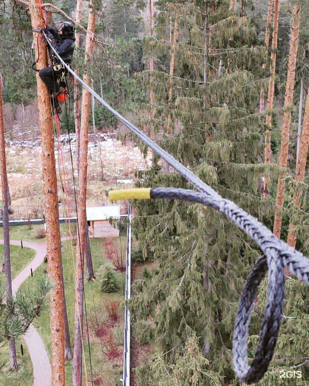 Отзывы на компанию Арбальп в г. Щёлково c фото