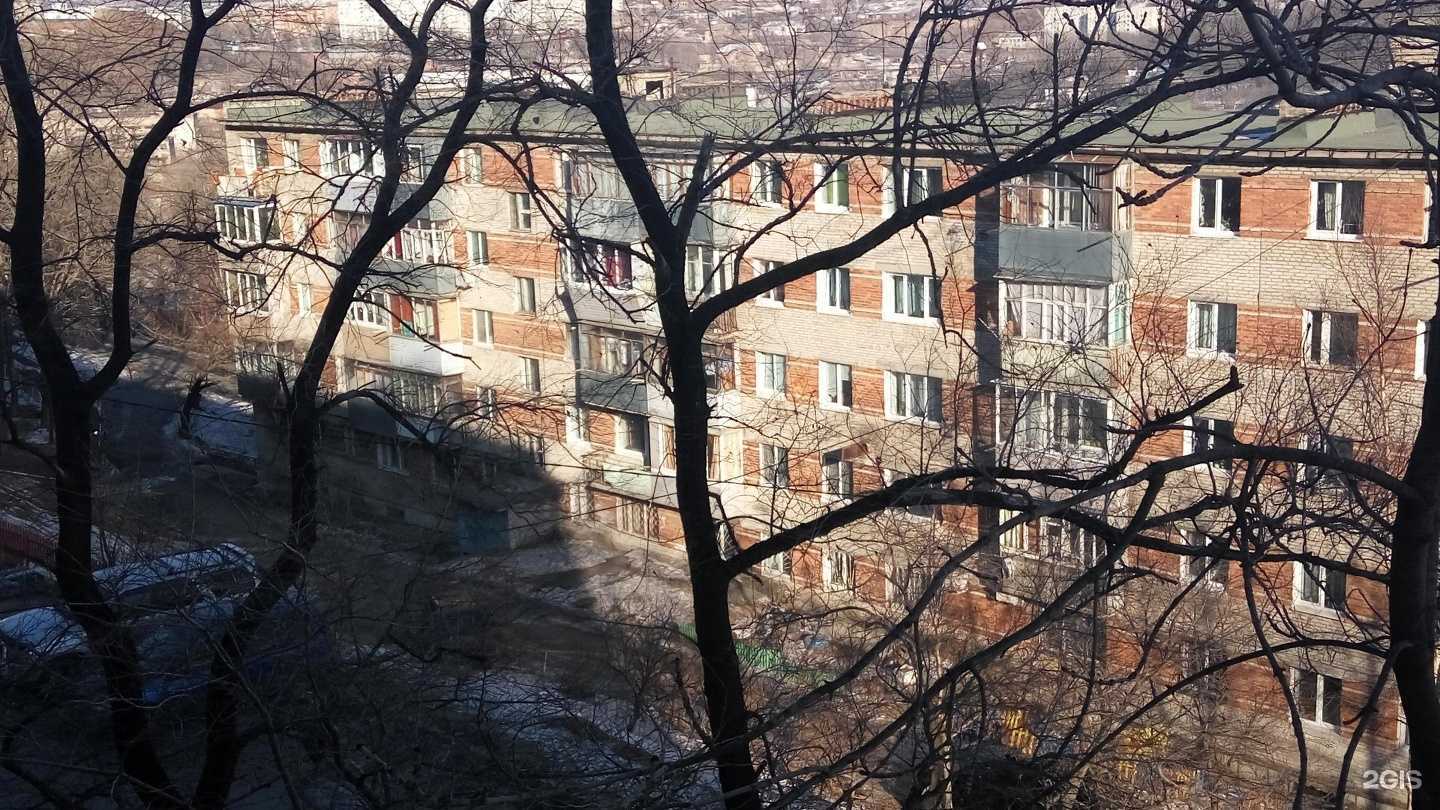 Отзывы на компанию Приморская Федерация Тхэквондо ГТФ в Владивостоке c фото - фотография 2 из 2