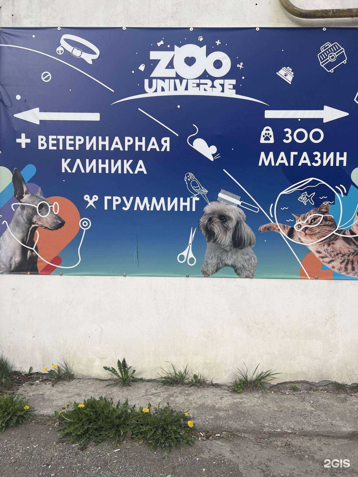 Отзывы на компанию ZooUniverse в Кушве c фото