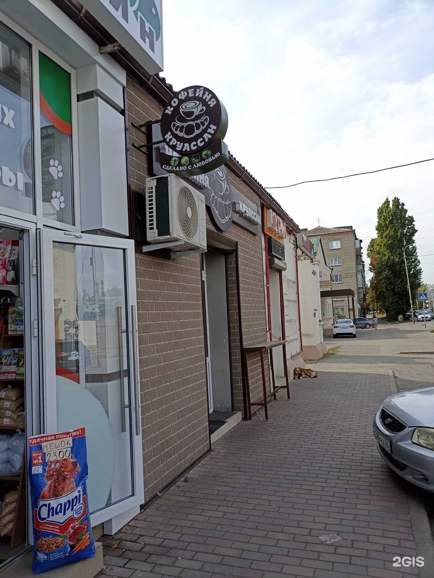 Отзывы на компанию Зоомагазин в Георгиевске c фото - фотография 2 из 2