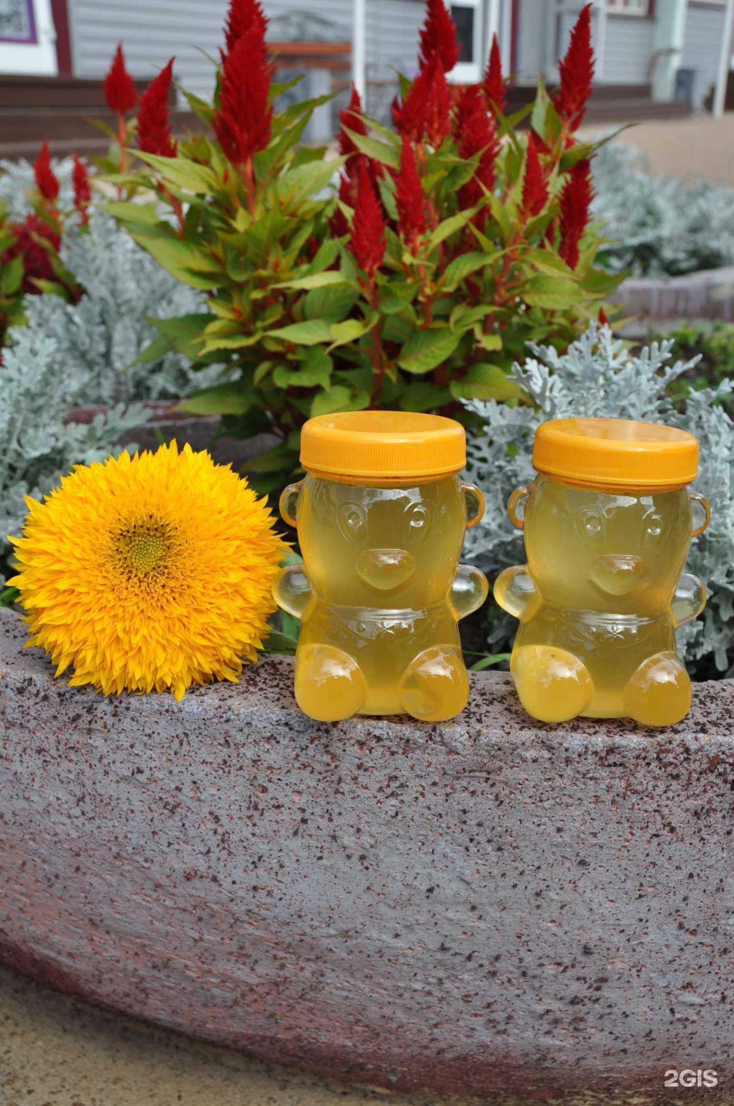 Отзывы на компанию Полезное пчеловодство в Улан-Удэ c фото