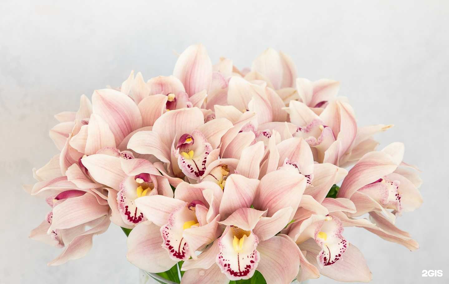 Отзывы на компанию Миллион Роз в г. Ярославль c фото