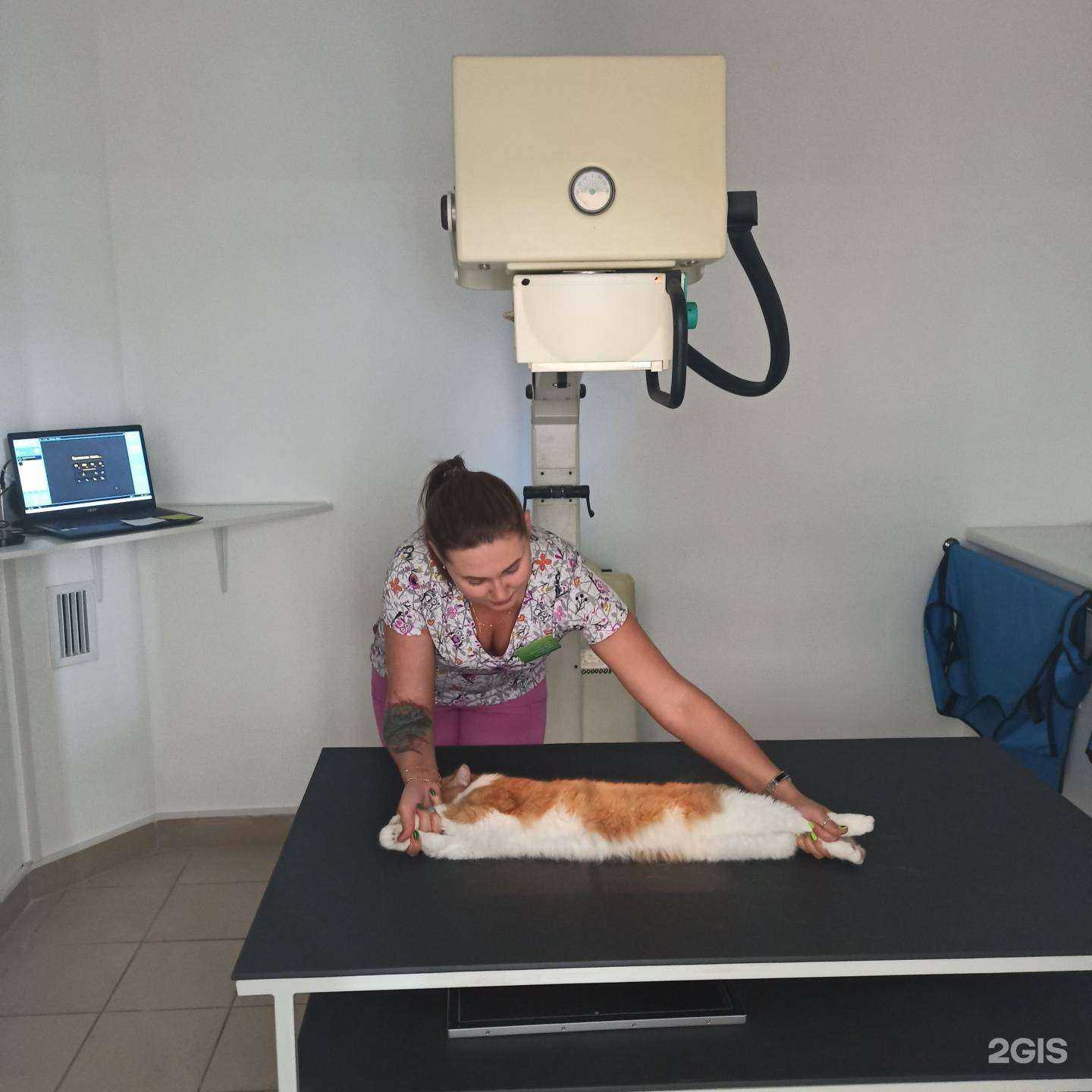 Отзывы на компанию Живая планета в г. Тюмень c фото